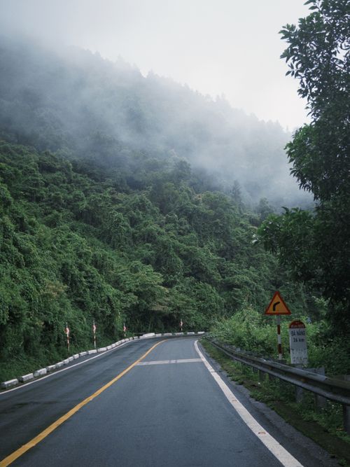 Free A winding road cuts through a foggy, lush green mountain forest, offering a serene and mystic travel experience. Stock Photo