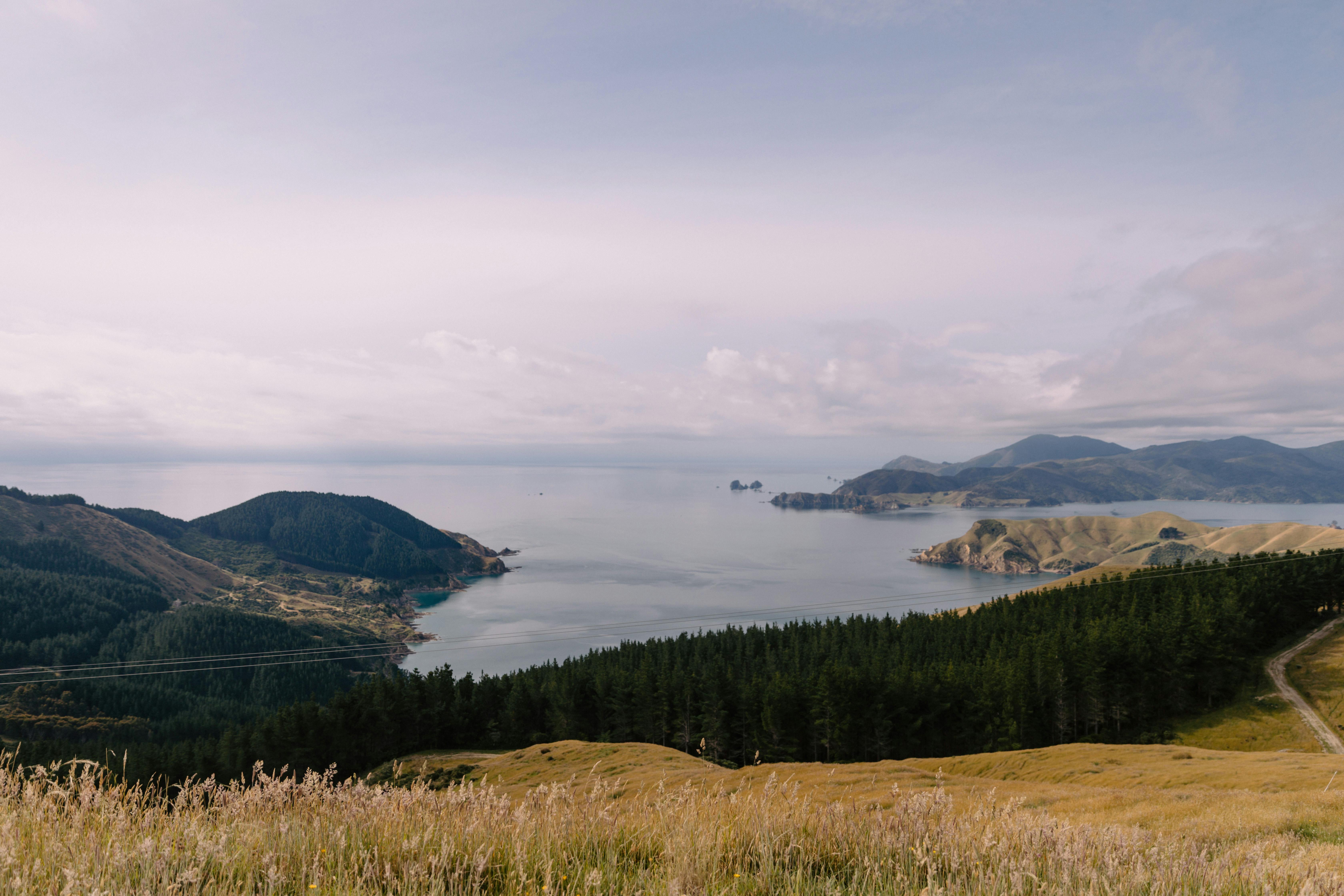 Tips for Campervan Travel: New Zealand — Photo by Petra Reid on Pexels