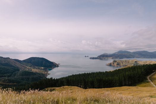 Breathtaking landscape view of Marlborough Sounds in New Zealand, featuring lush hills and serene waters.
