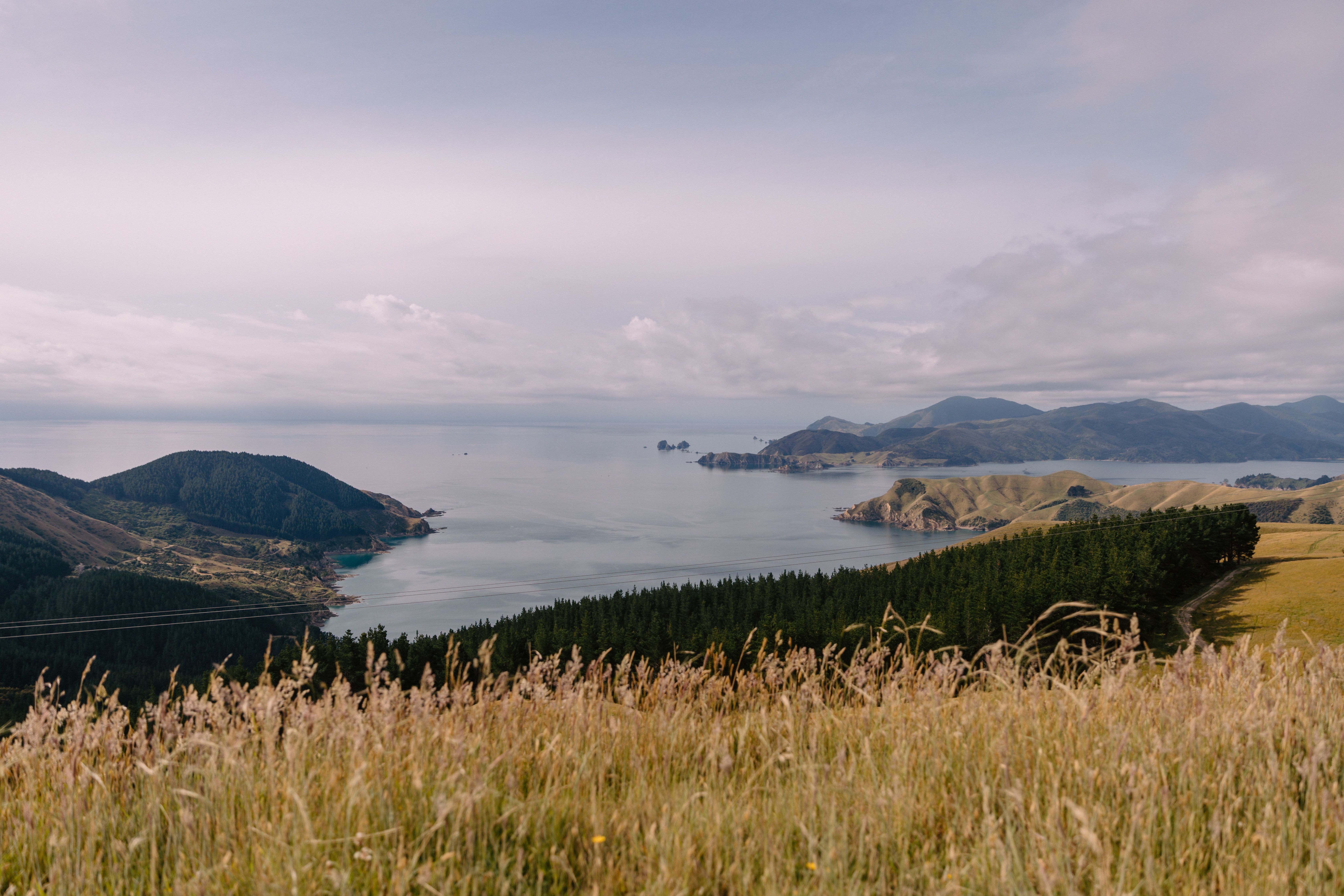 general travel new zealand — Photo by Petra Reid on Pexels