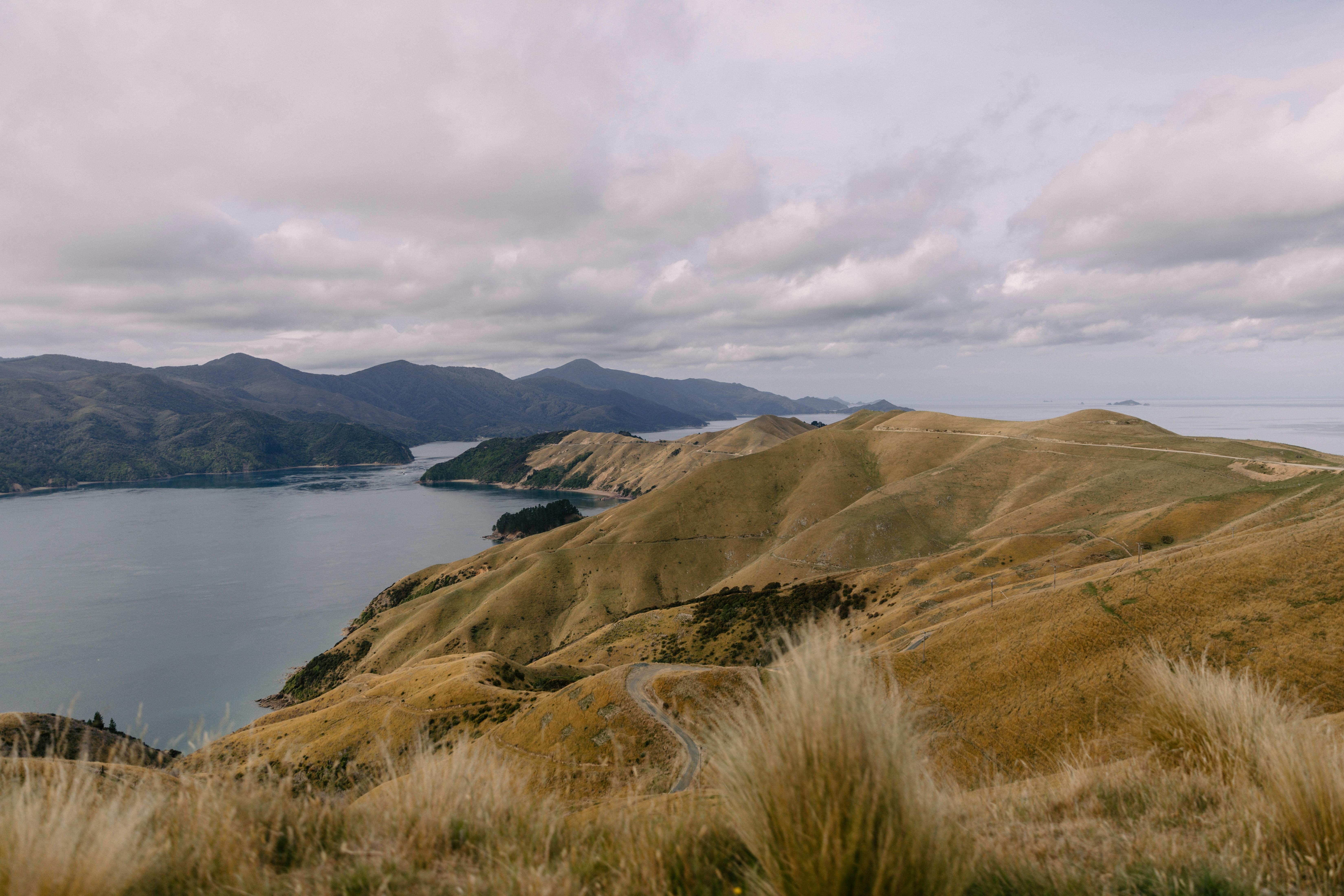 general travel new zealand ltd — Photo by Petra Reid on Pexels