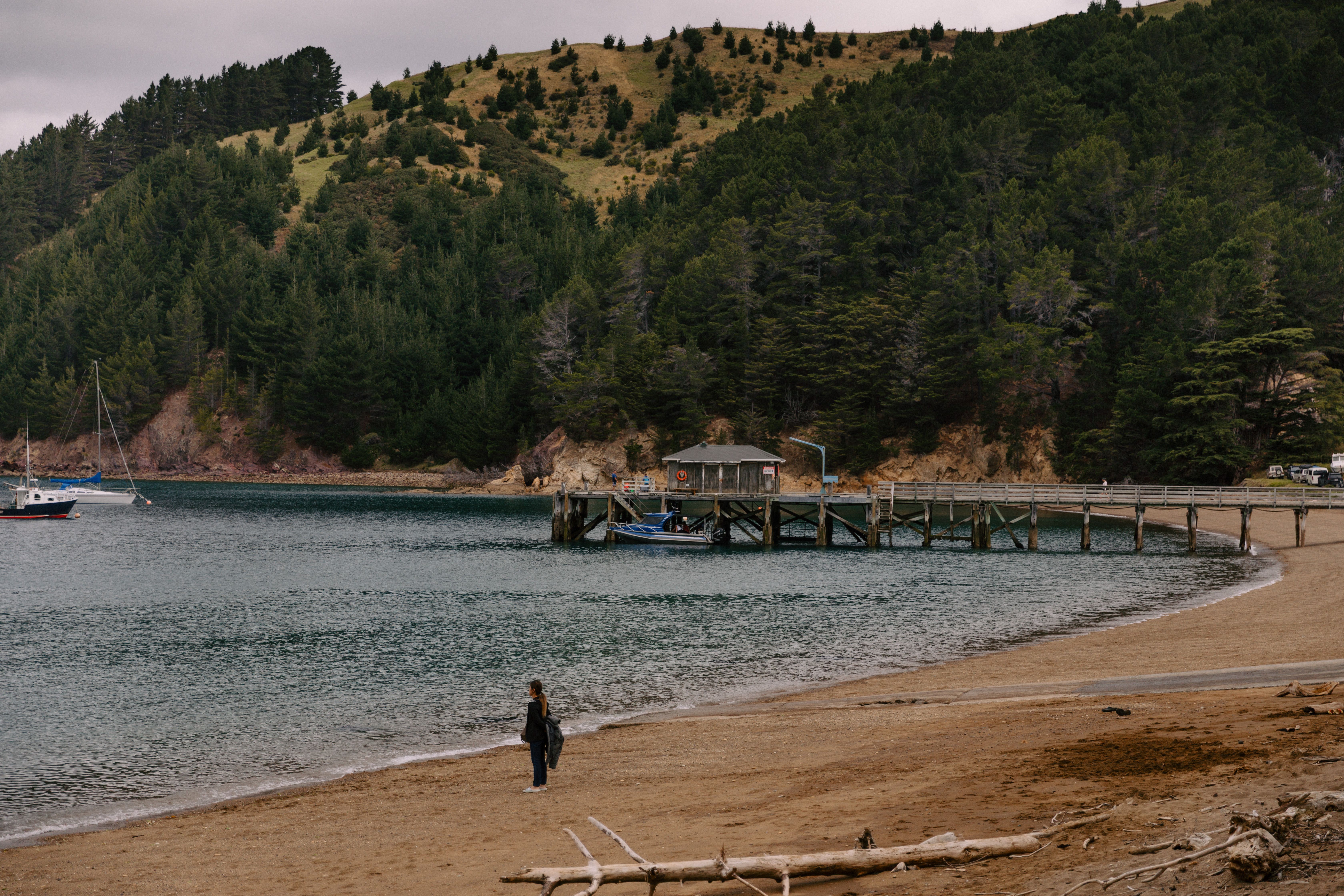 Stewart Island