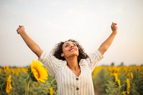 Gratis Foto De Mujer De Pie Sobre El Campo De Girasol Foto de stock