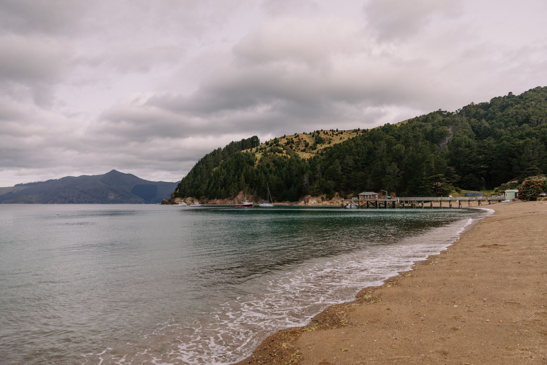 Marlborough kiyilarinin sakin sabah saatlerinde gri manzarasi