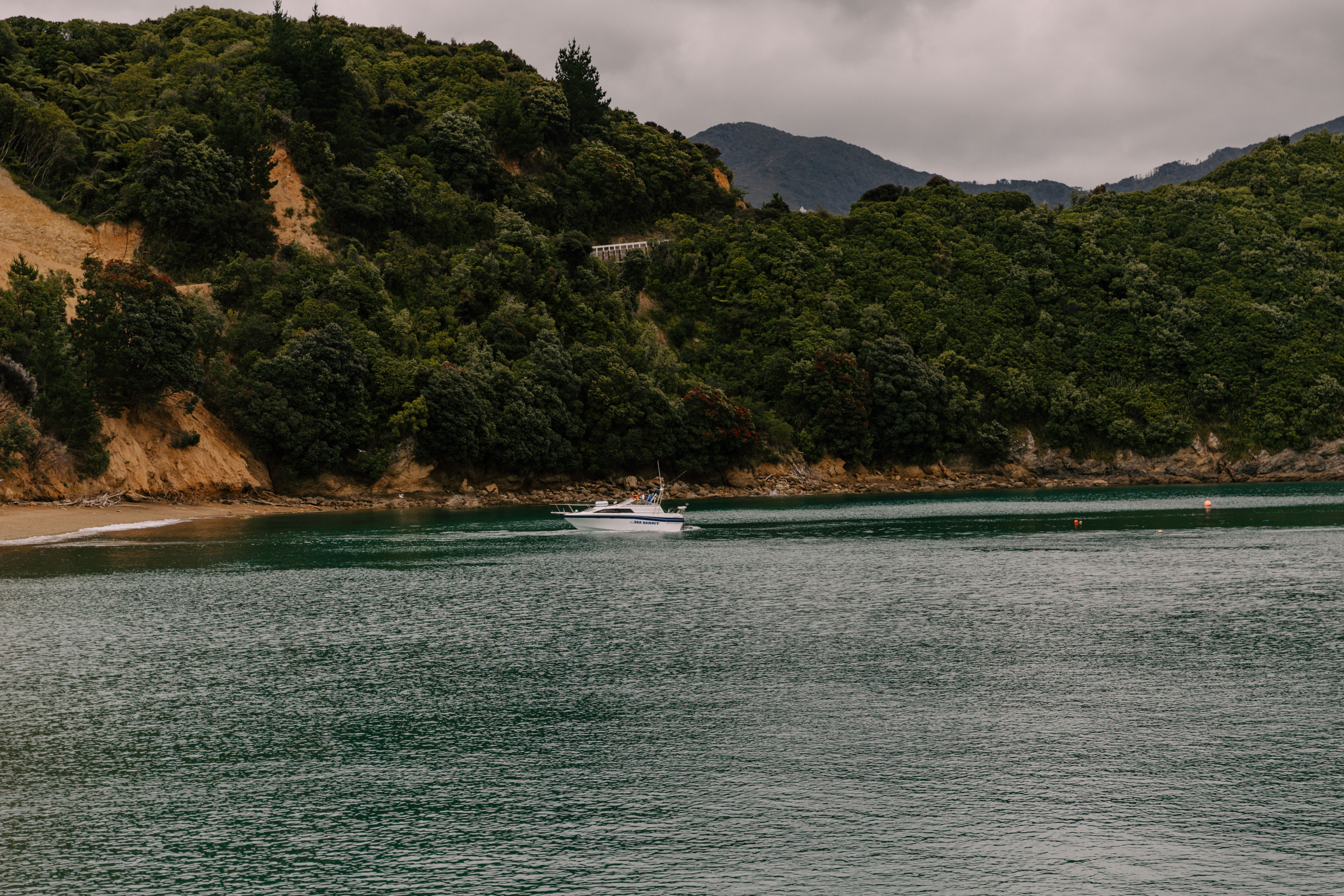 19 Day 200 Hour Yoga Teacher Training in Taupo, New Zealand 1