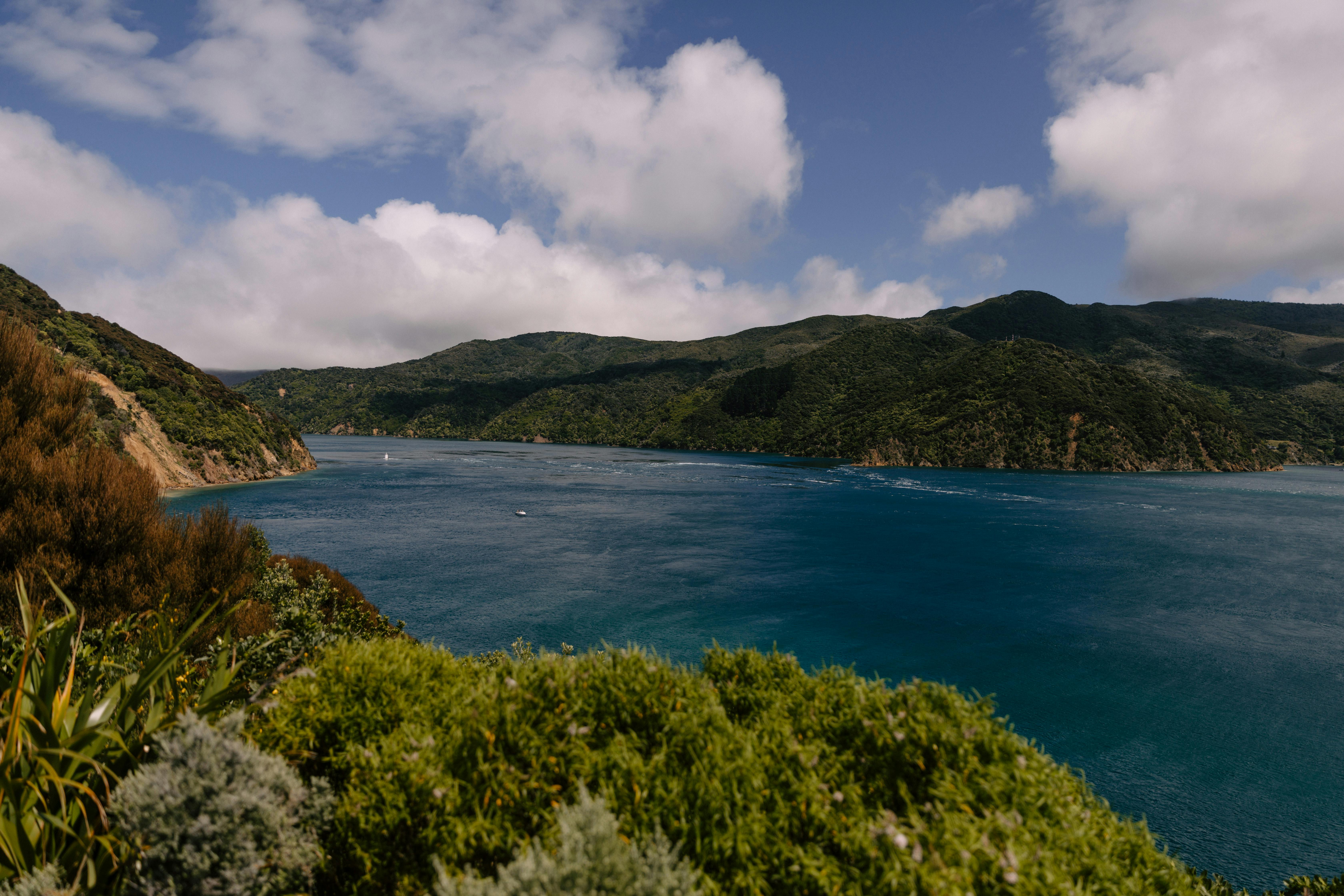 general travel new zealand — Photo by Petra Reid on Pexels