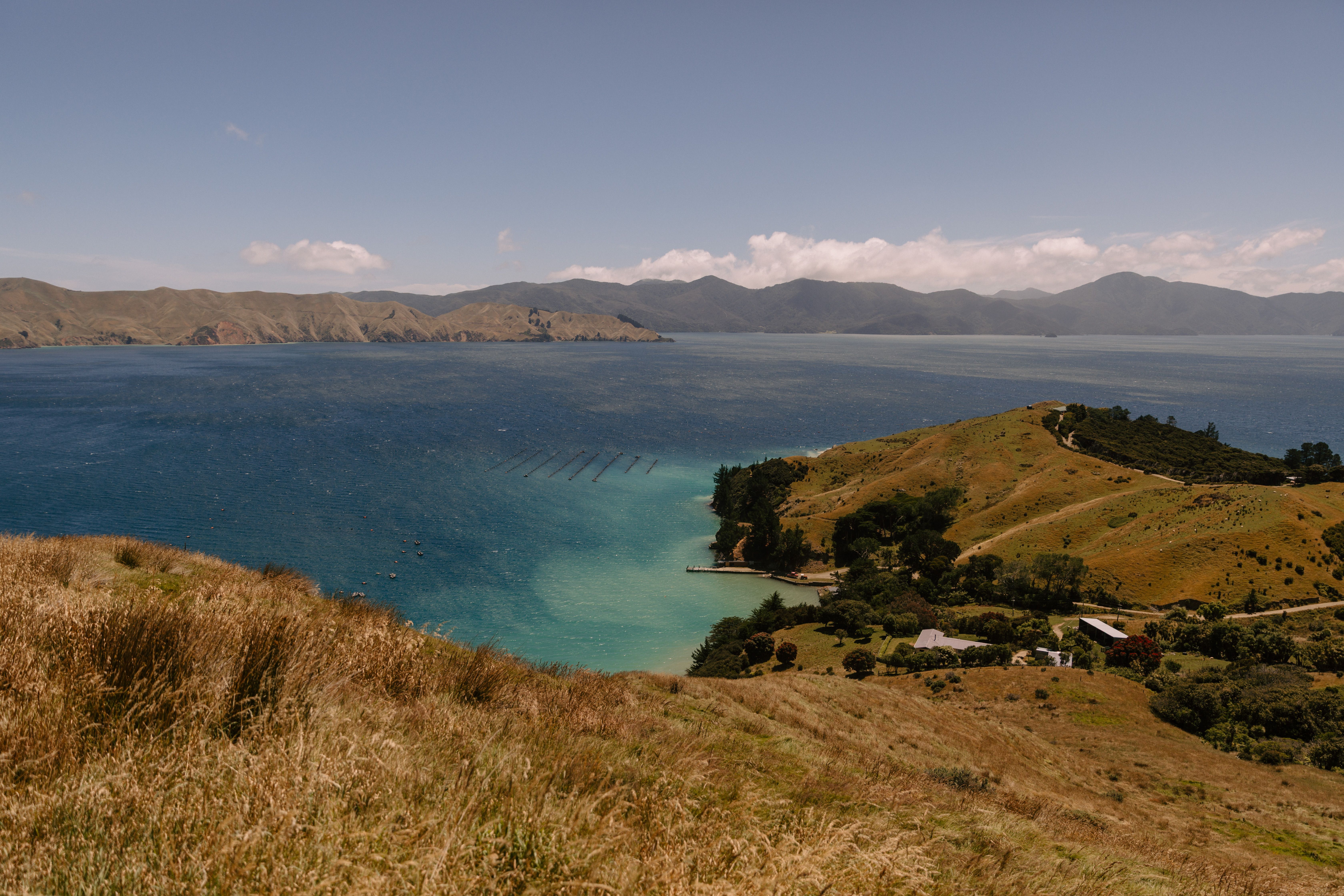 A serene landscape showcasing the beautiful Marlborough Sounds in New Zealand.
