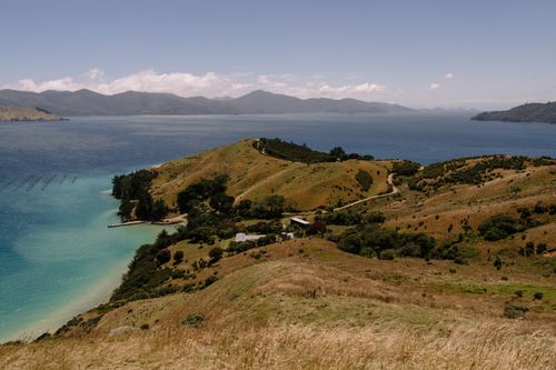 Free A beautiful coastal landscape of Marlborough, New Zealand, showcasing rolling hills and a clear blue ocean. Stock Photo