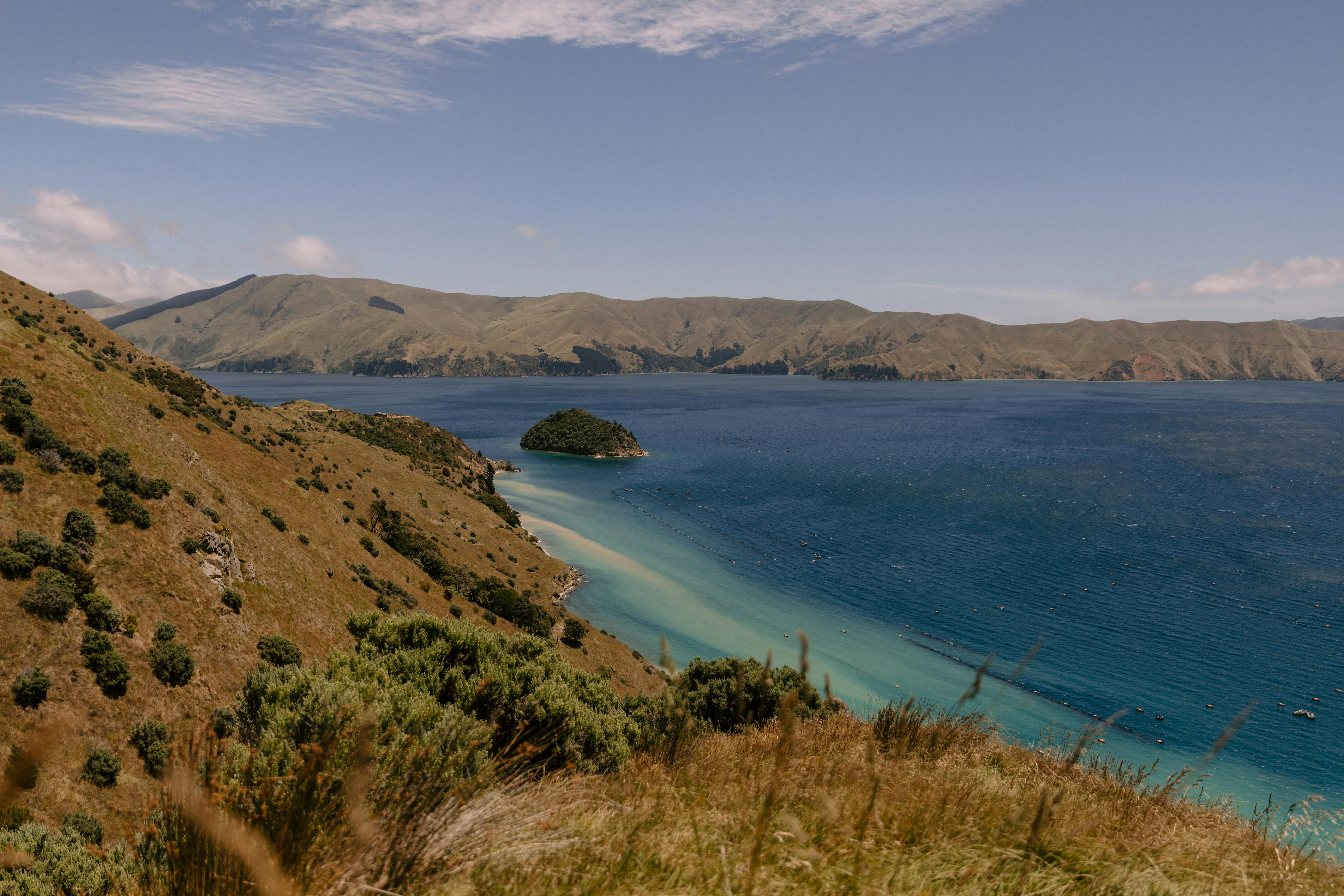 general travel new zealand — Photo by Petra Reid on Pexels