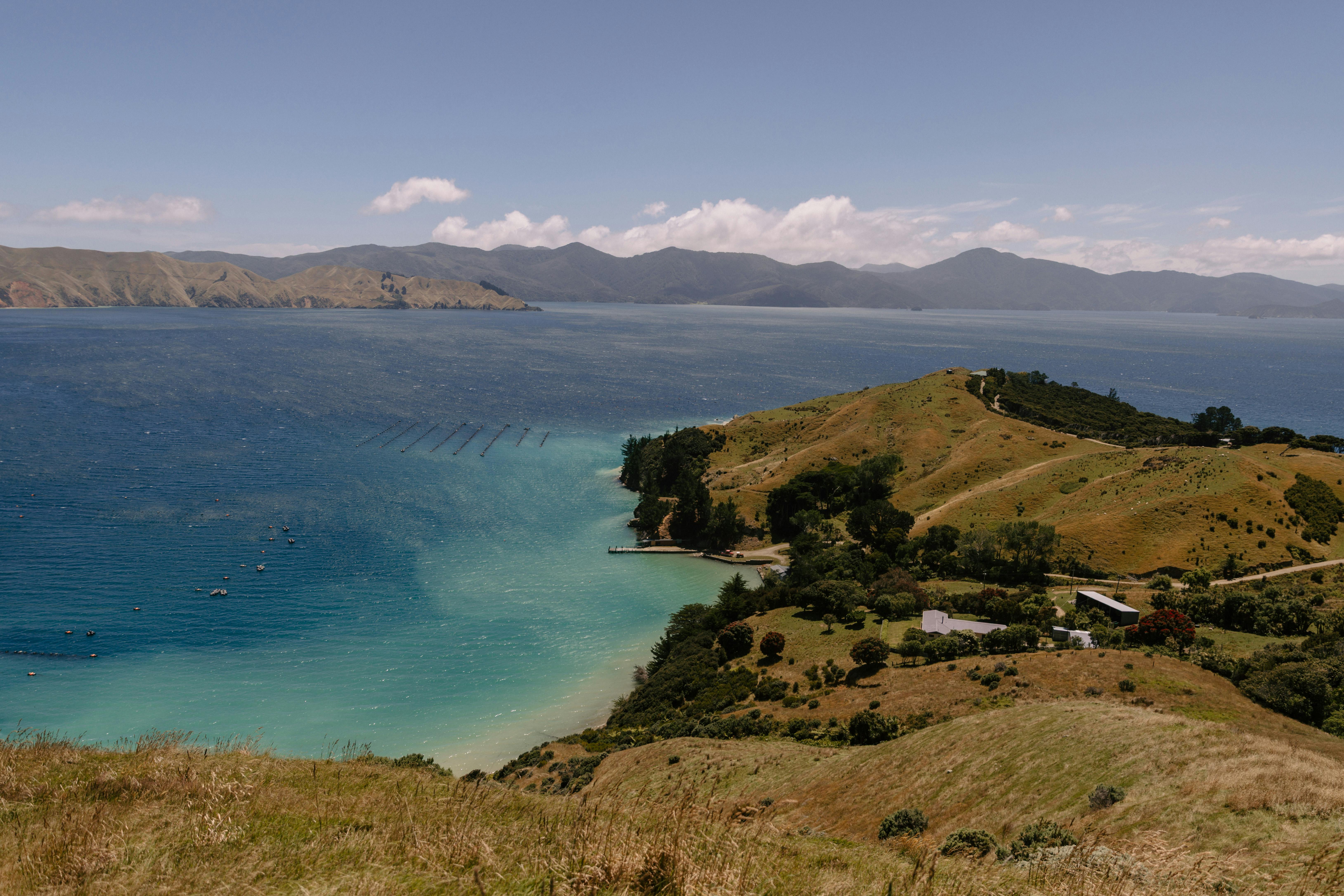 general travel new zealand ltd — Photo by Petra Reid on Pexels