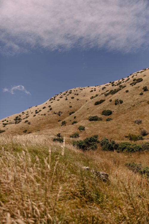 Free Breathtaking view of a sunlit hillside in Marlborough with clear blue skies. Stock Photo