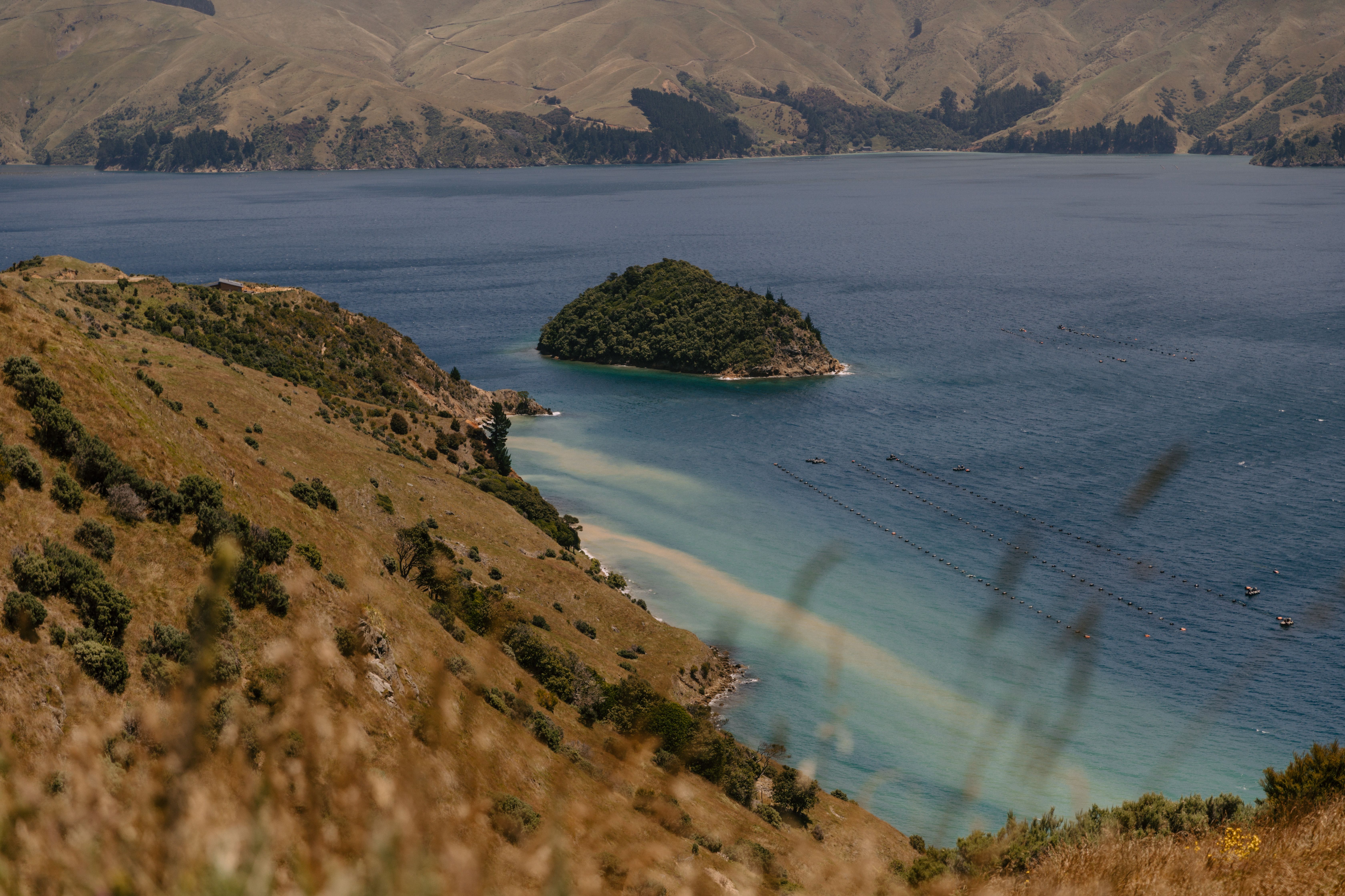general travel new zealand ltd — Photo by Petra Reid on Pexels