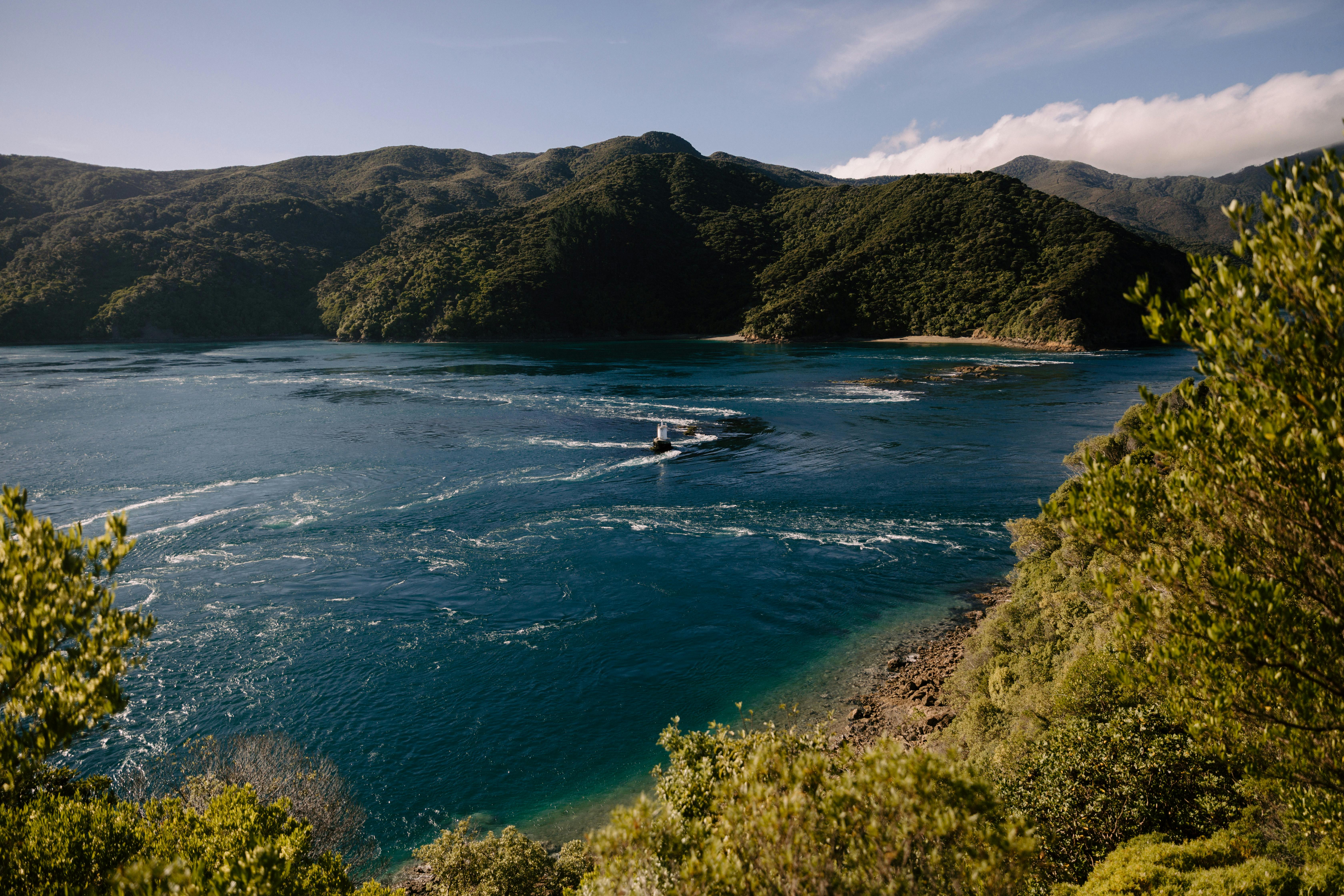 general travel new zealand tours — Photo by Petra Reid on Pexels