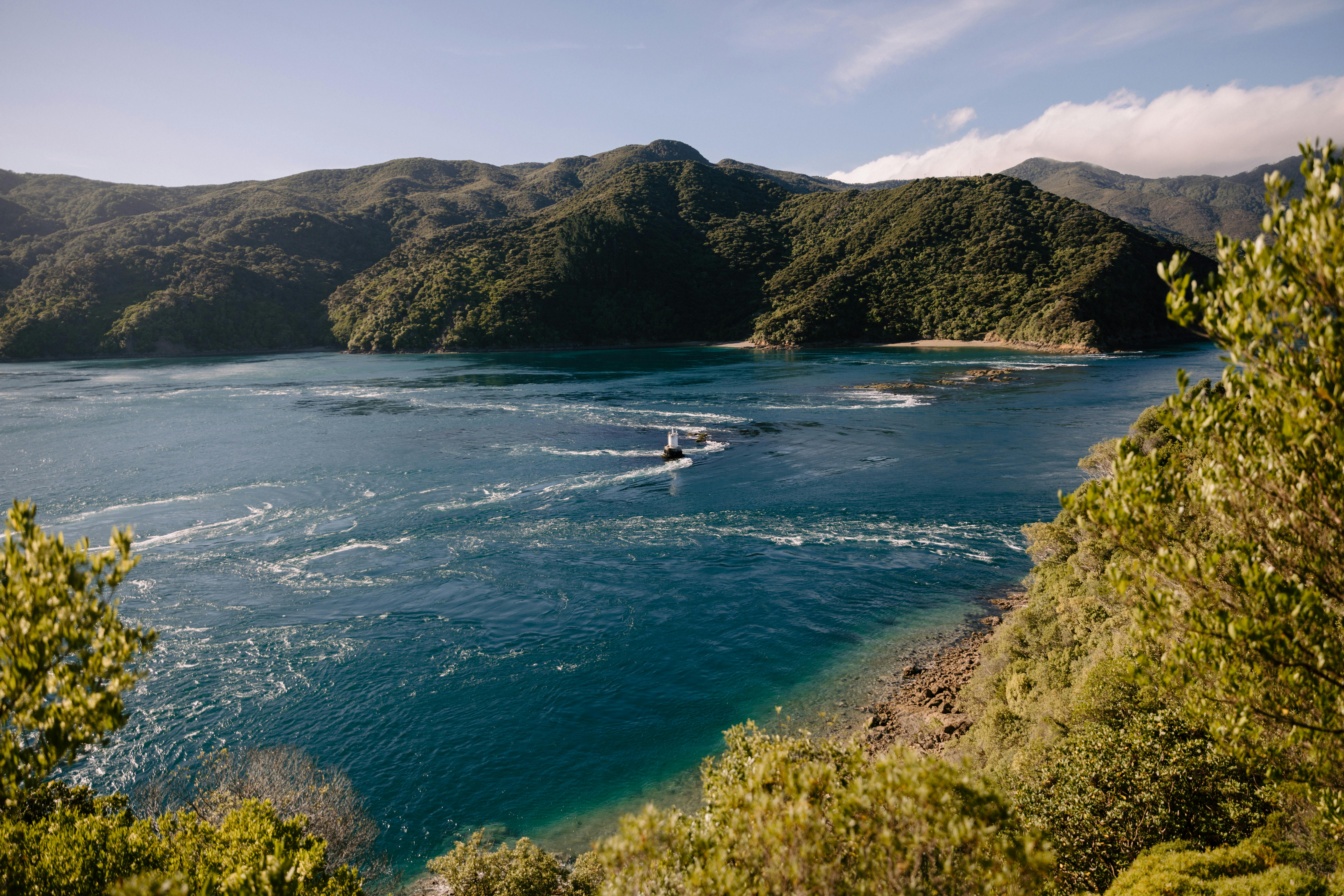 general travel new zealand tours — Photo by Petra Reid on Pexels