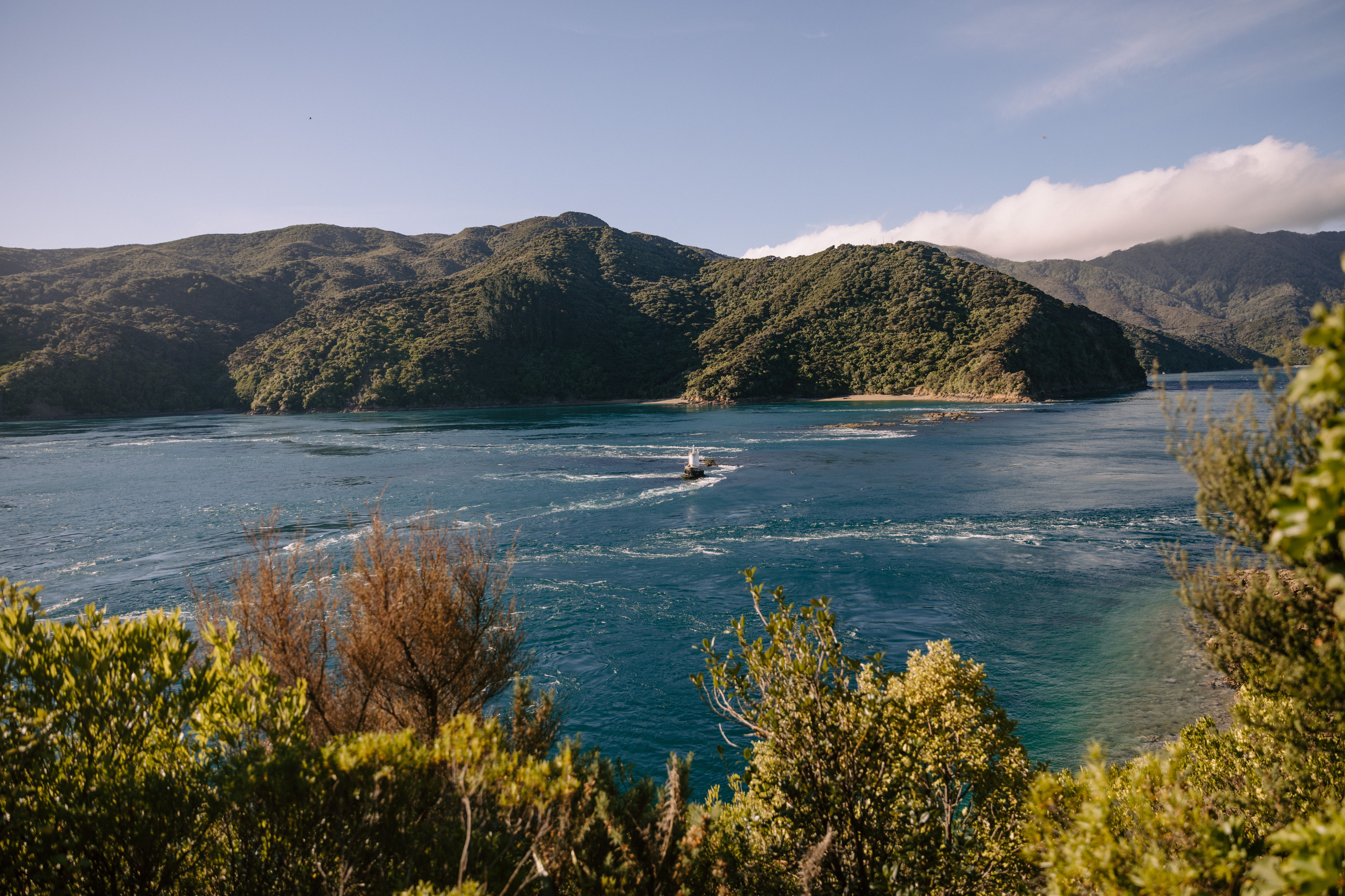 General Travel New Zealand hosts Indian travel agents on experiential famil — Photo by Petra Reid on Pexels