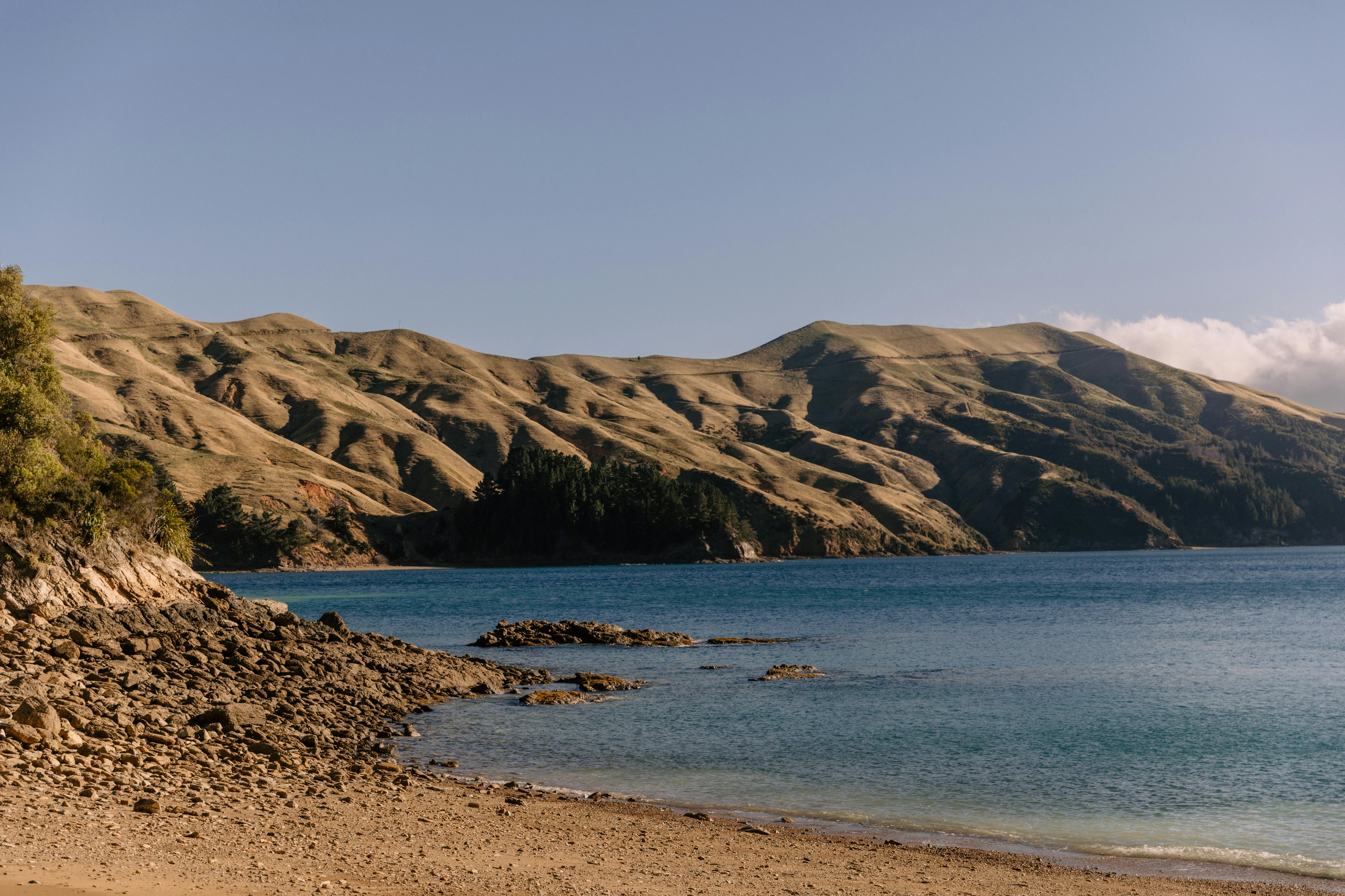 general travel new zealand tours — Photo by Petra Reid on Pexels
