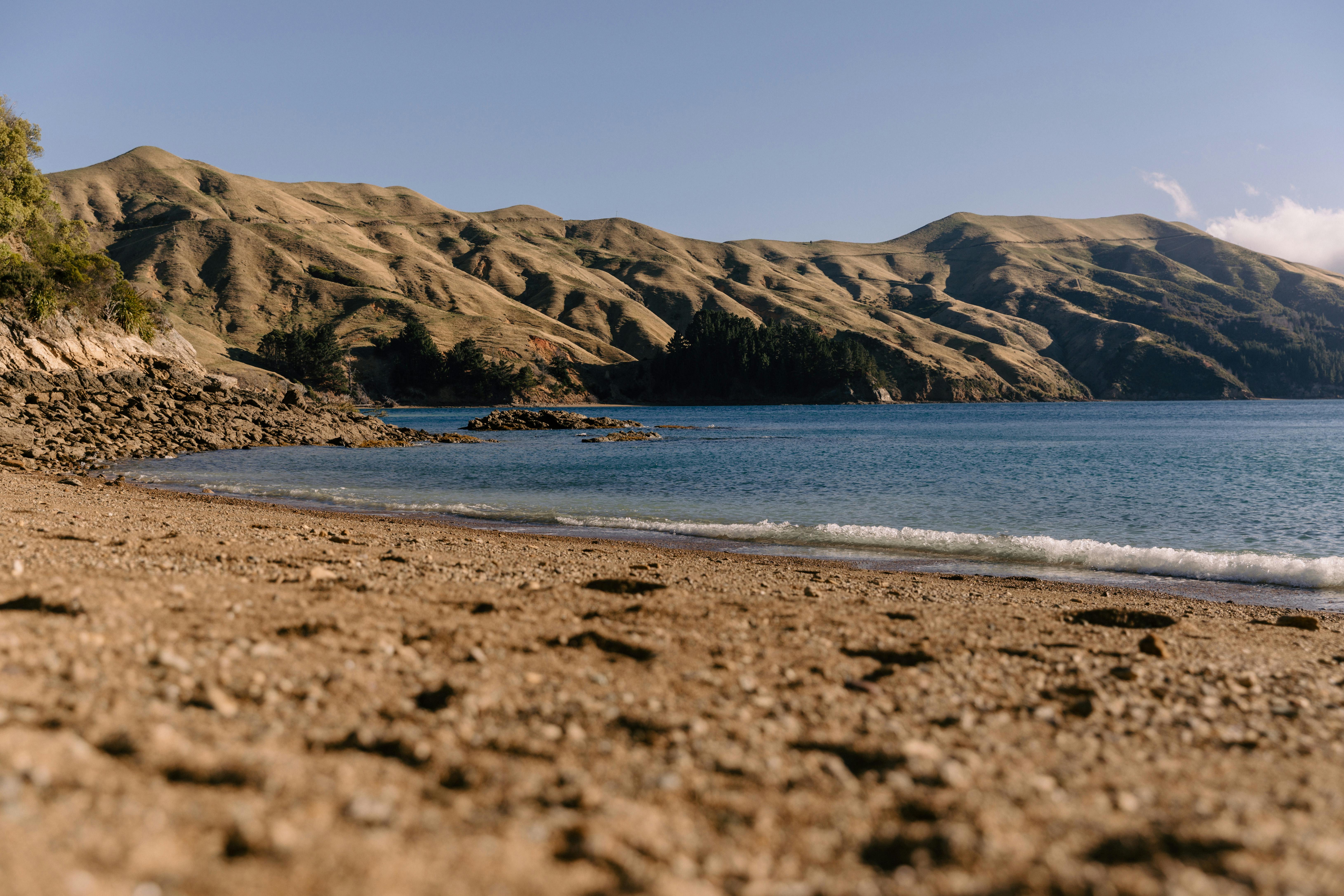 General Travel New Zealand hosts Indian travel agents on experiential famil — Photo by Petra Reid on Pexels