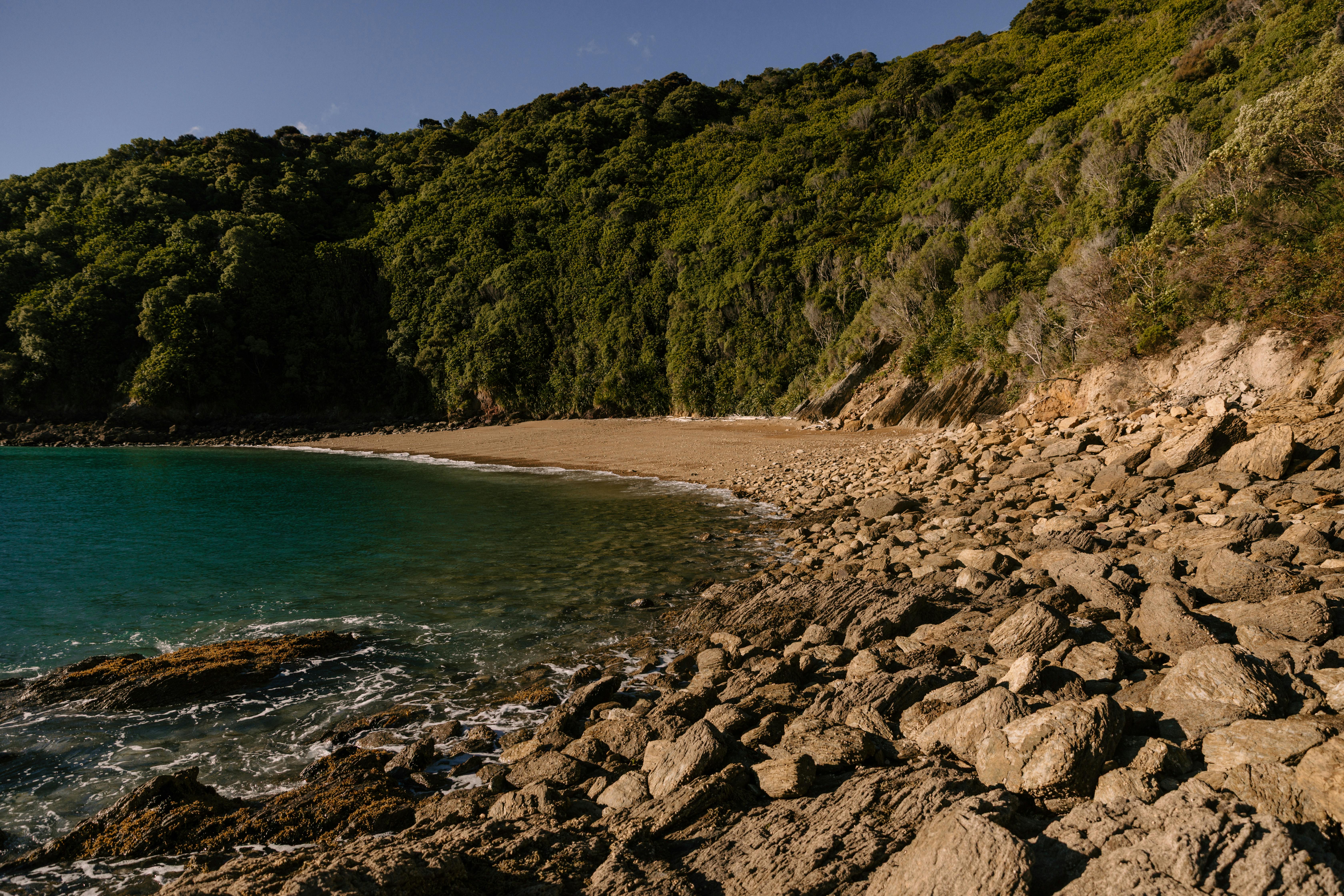general travel new zealand ltd — Photo by Petra Reid on Pexels