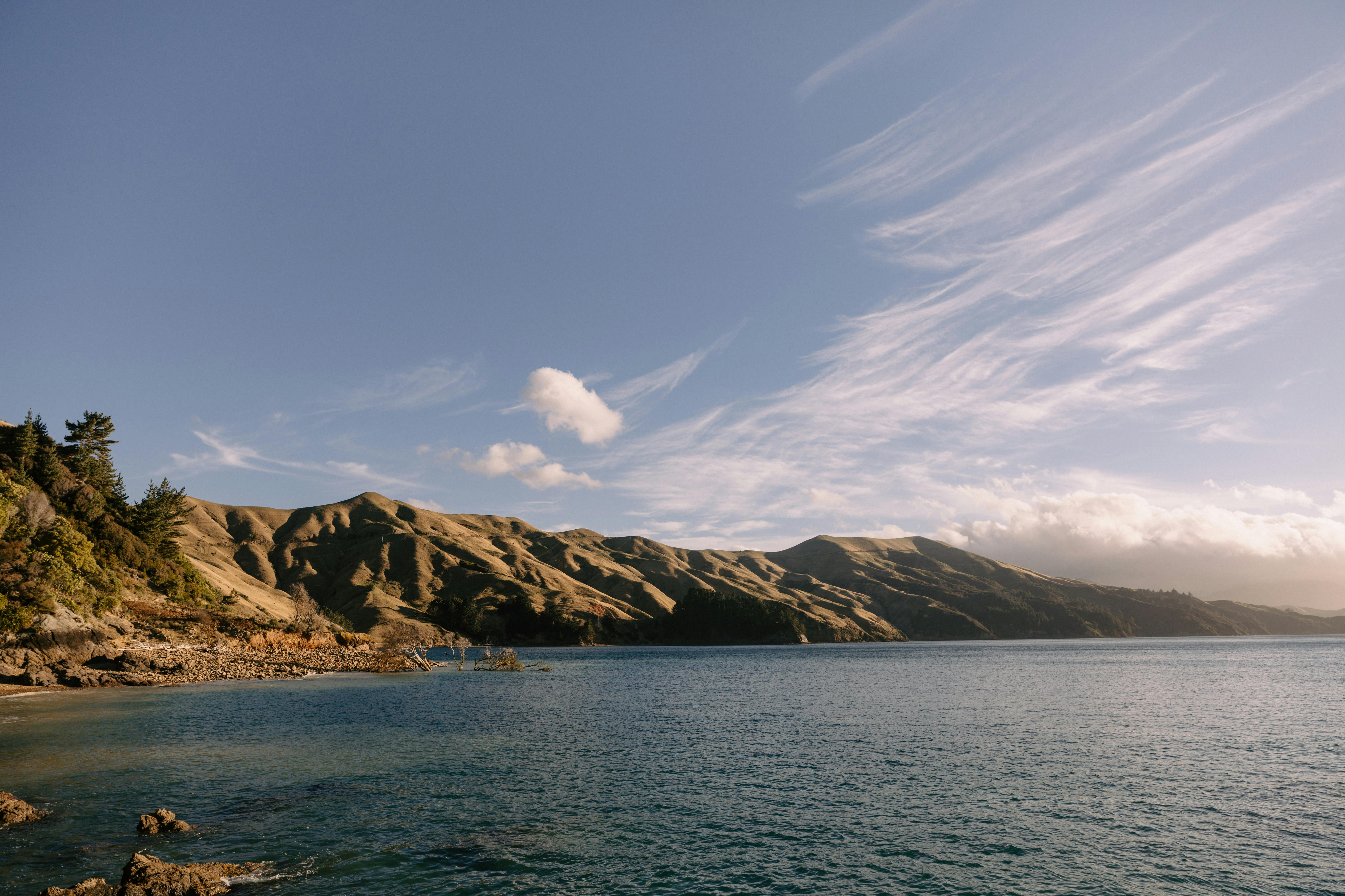 A travel guide to New Zealand: Cost, culture and more tips for visiting the country — Photo by Petra Reid on Pexels