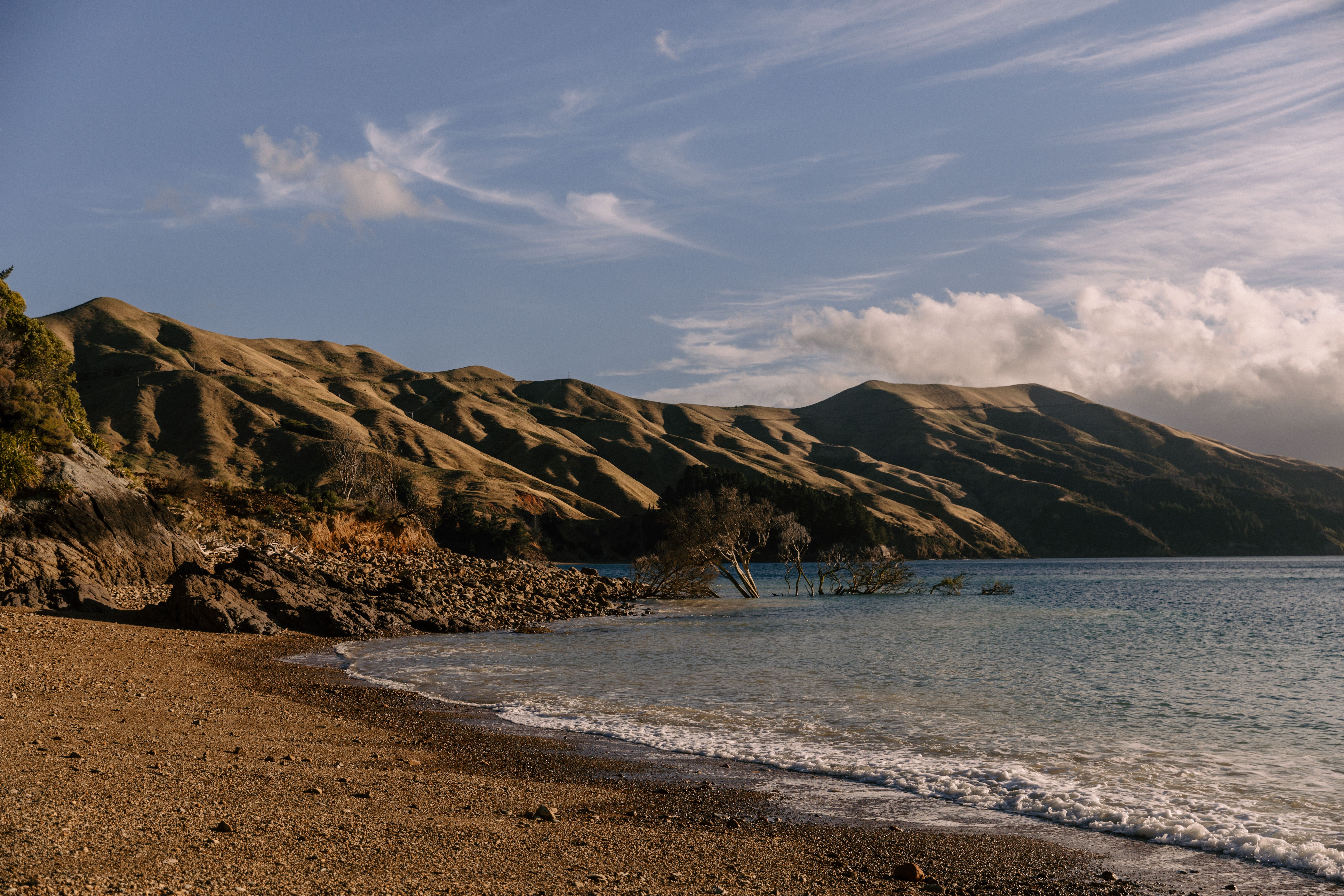 General Travel New Zealand concludes 5-city India roadshow to NZ tourism — Photo by Petra Reid on Pexels