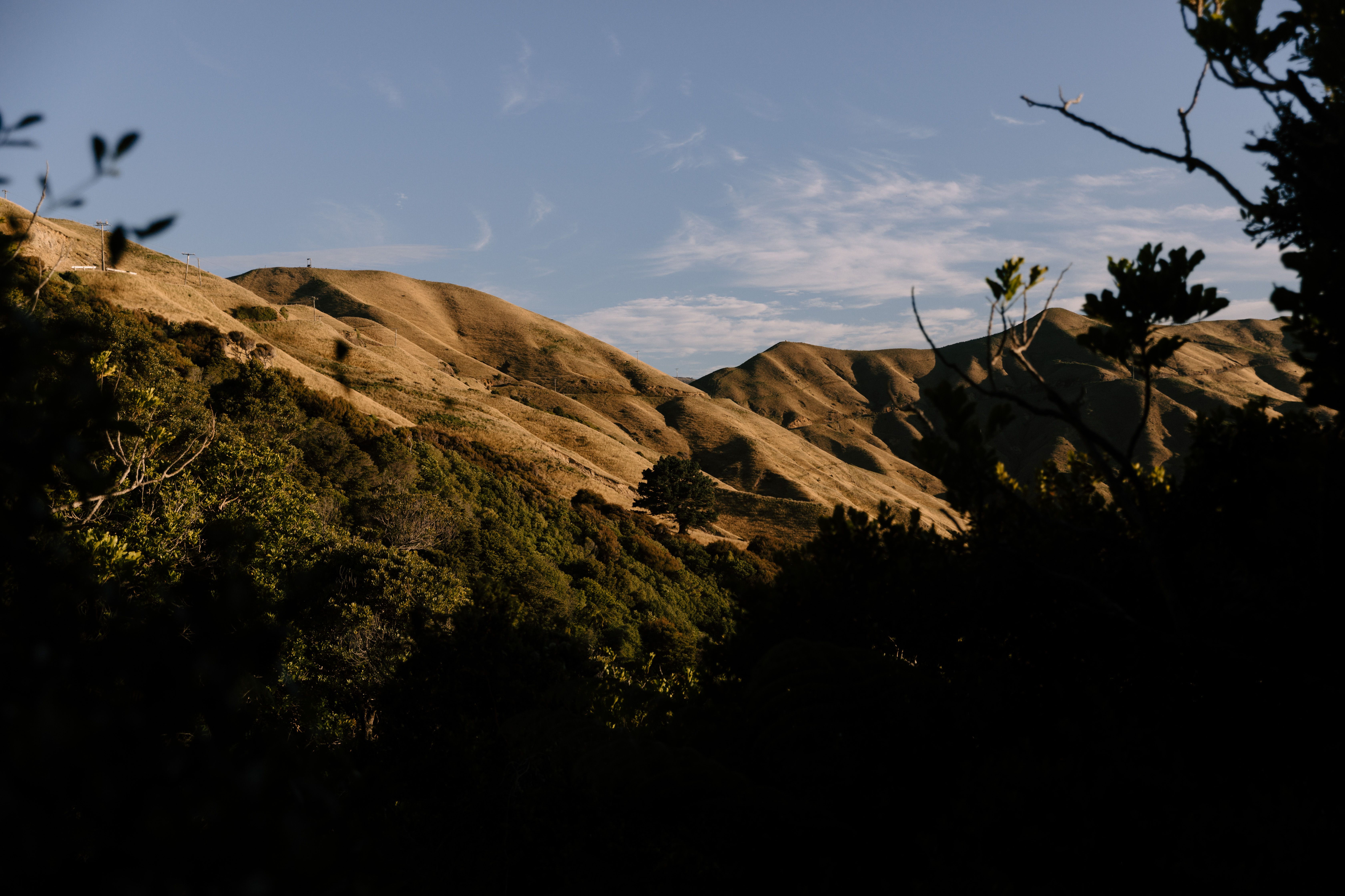 Scenic view of Marlborough's rolling hills at sunset, showcasing natural beauty and tranquility.
