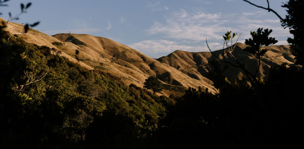 Marlborough