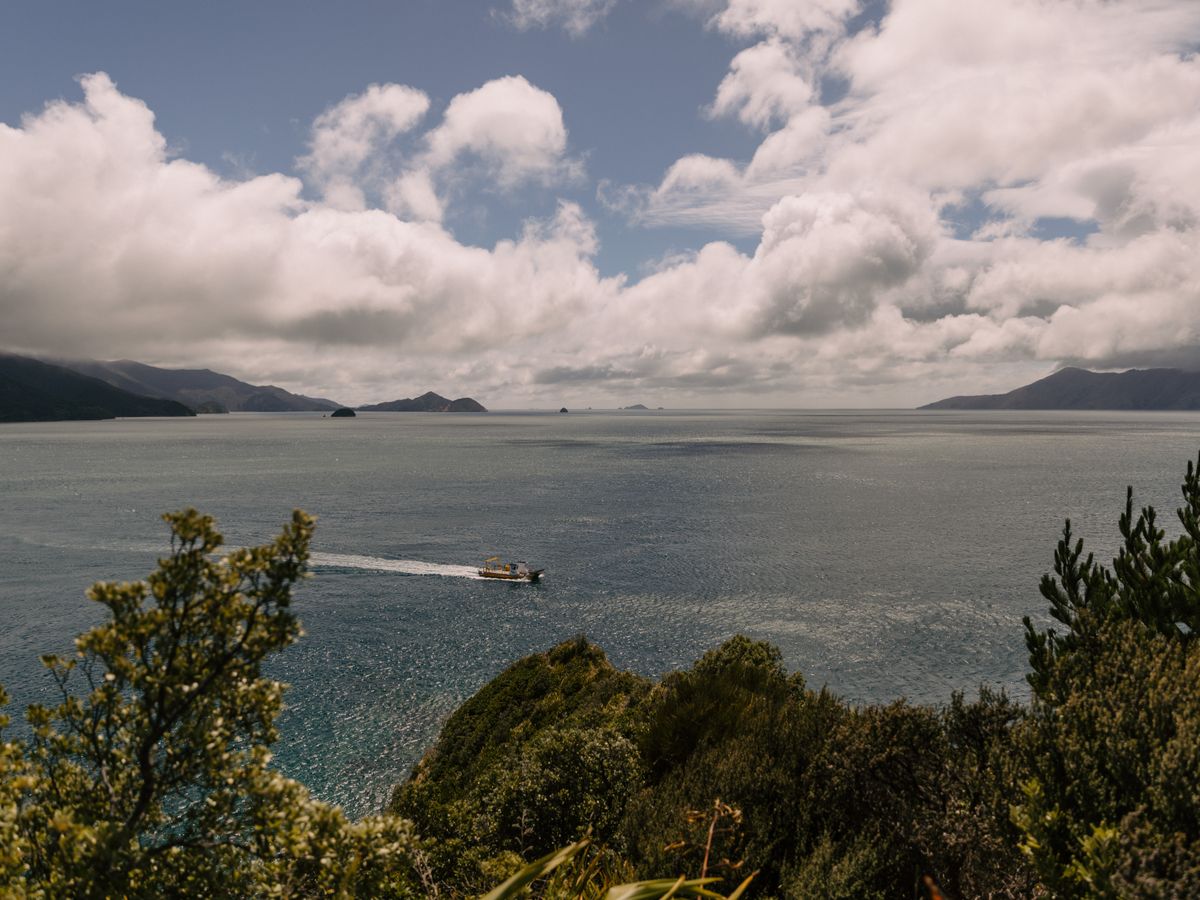16 Day Eco-Adventure Surf n' Stay Retreat in Te Arai, New Zealand 3