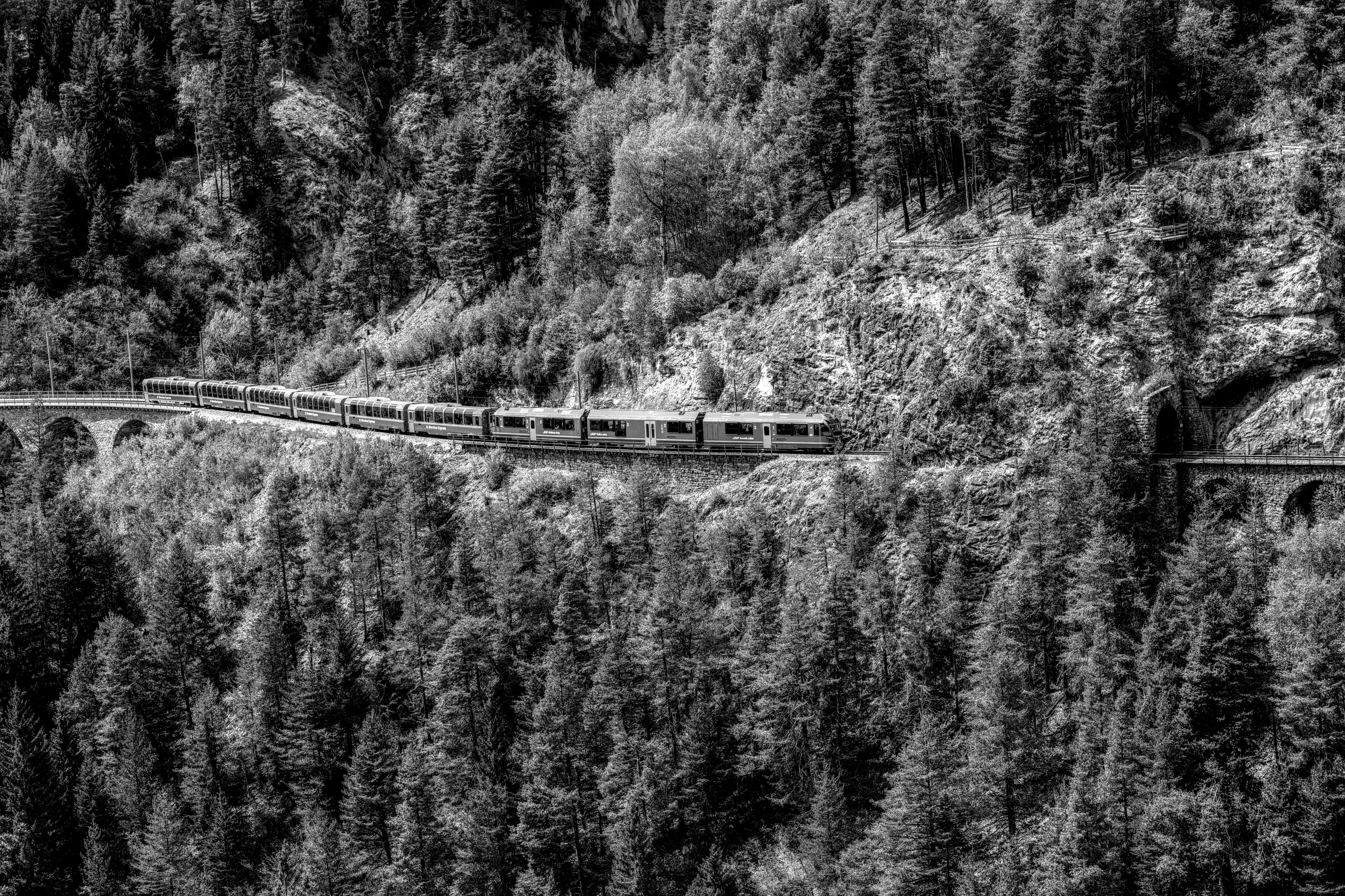 Zug auf Viadukt im Schwarzwald