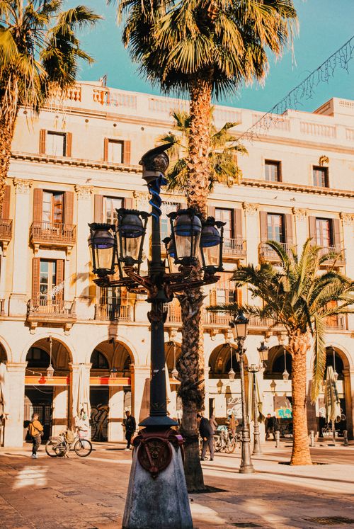 Free Sunny view of Plaza Real in Barcelona featuring palm trees and historic architecture. Stock Photo