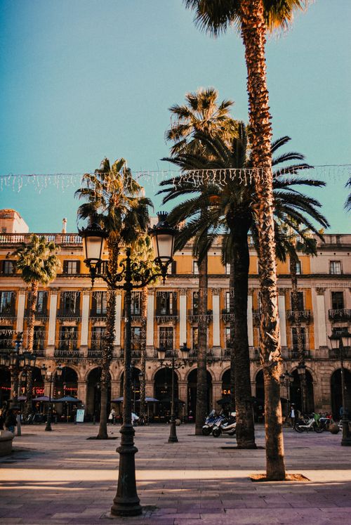 Free Palm trees and historic architecture at Plaça Reial in Barcelona on a sunny day. Vibrant and lively. Stock Photo