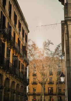 Capture the essence of Barcelona's historic charm with stunning architecture and serene street atmosphere.
