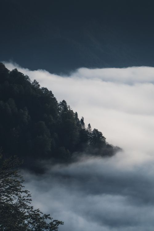 Free Serene view of misty mountains in Gomi, Guria, Georgia, captured in early morning light. Stock Photo