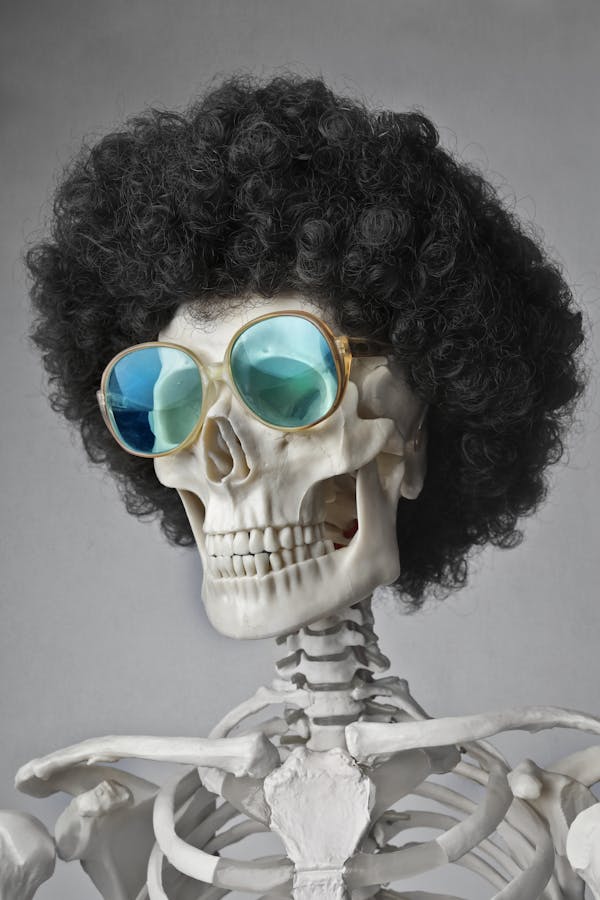 Portrait Photo of a Skeleton in Sunglasses and Wig