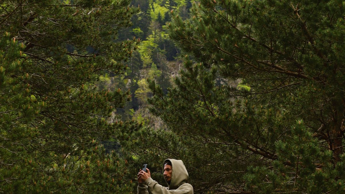 Séjours bien-être en pleine nature : top 5 destinations 2026