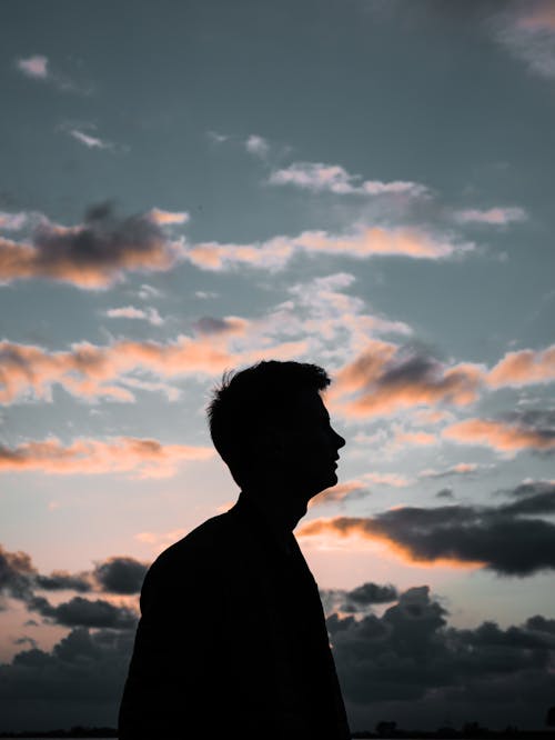 Free Silhouette of Man Under Cloudy Sky  Stock Photo