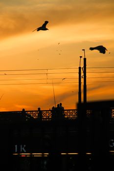 A scenic silhouette of people standing on a bridge at sunset with seagulls flying in the sky.