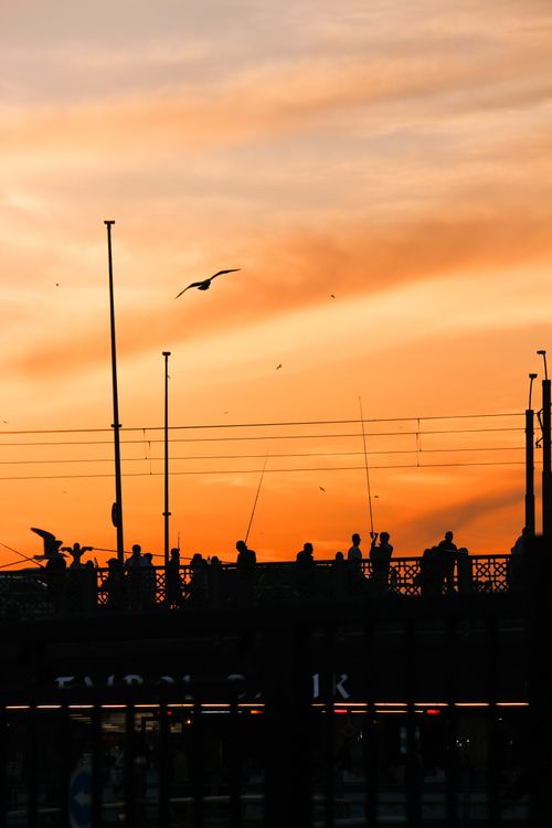 Free Silhouetted figures on a bridge against a vibrant orange sunset sky with birds flying. Stock Photo