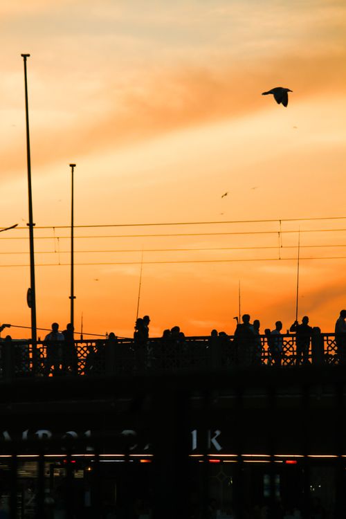 Free Silhouetted people on a bridge at sunset under an orange sky with a bird in flight. Stock Photo