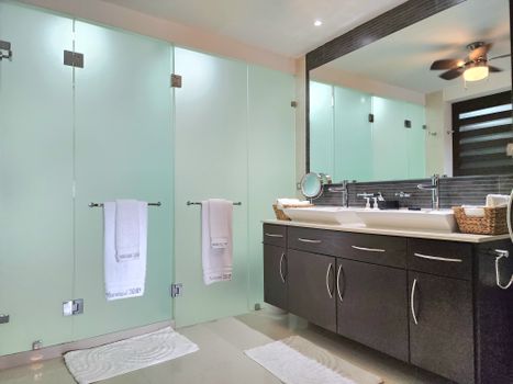 Elegant modern bathroom featuring glass partitions and sleek wooden cabinetry for a luxurious feel.