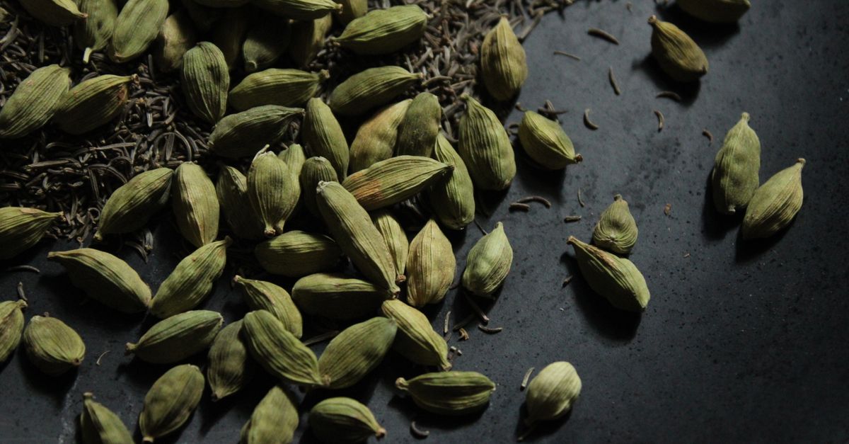 Close-up of cardamom pods and cumin seeds on a dark background. - Evidence evidence guide for black cumin seed sleep quality randomized trial