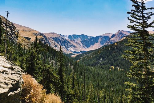Free Stunning view of a mountain range with dense evergreen forests under a clear blue sky. Stock Photo