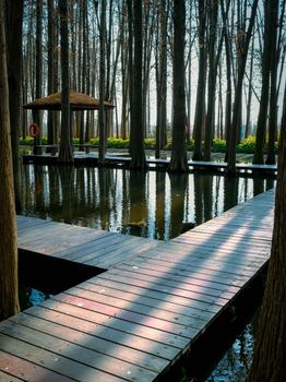A peaceful wooden walkway over water, surrounded by tall trees in a tranquil forest setting, ideal for relaxation and reflection.