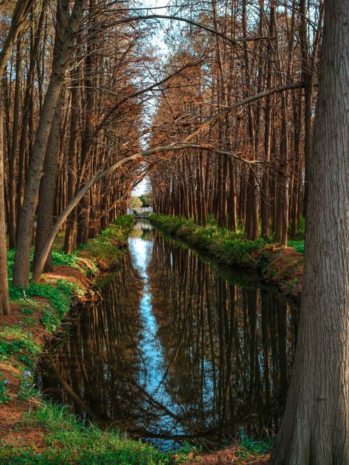 Free A tranquil stream reflecting autumn trees, offering a peaceful nature scene. Stock Photo