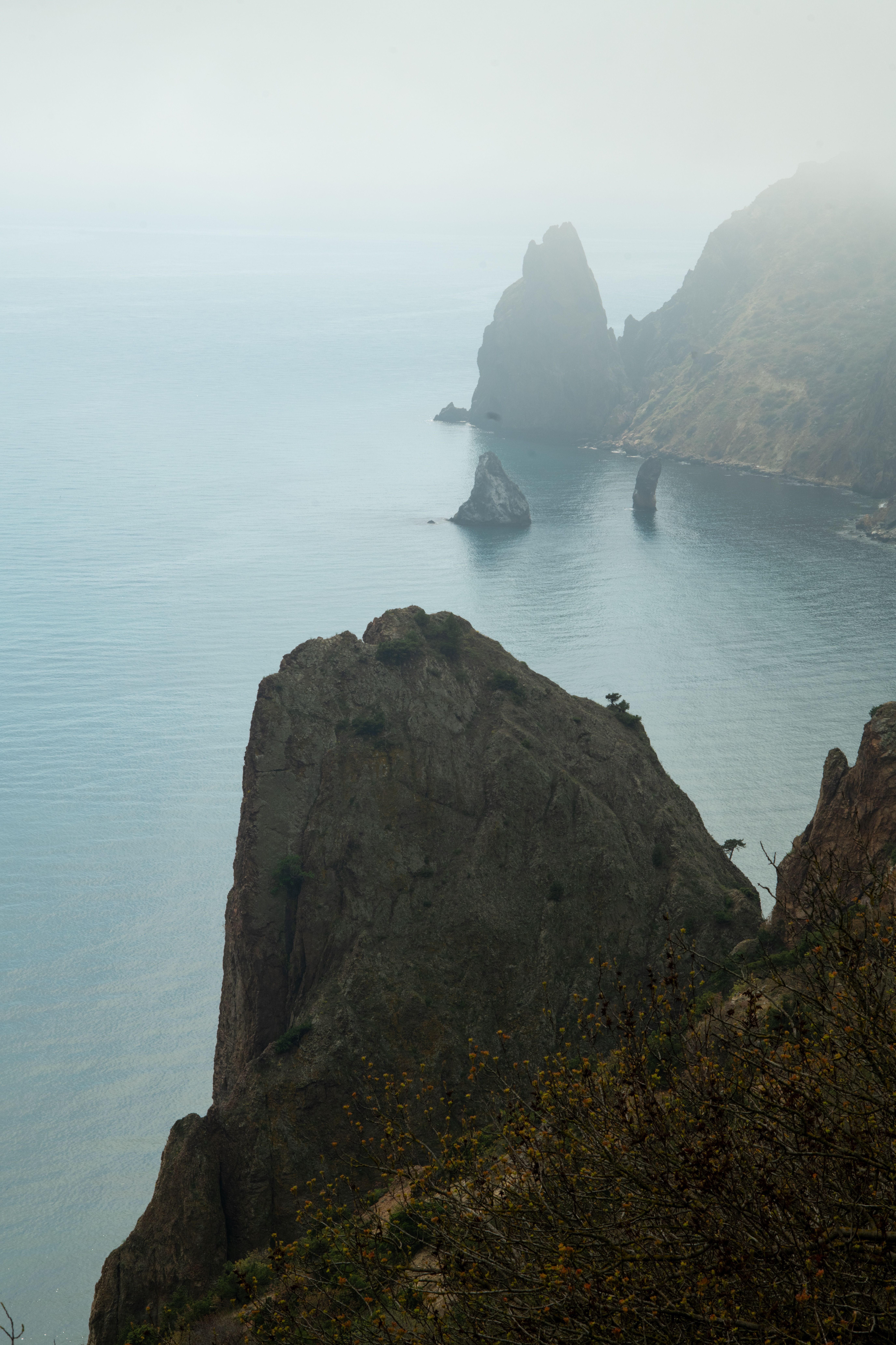 Misty coastal cliffs overlooking serene ocean · Free Stock Photo