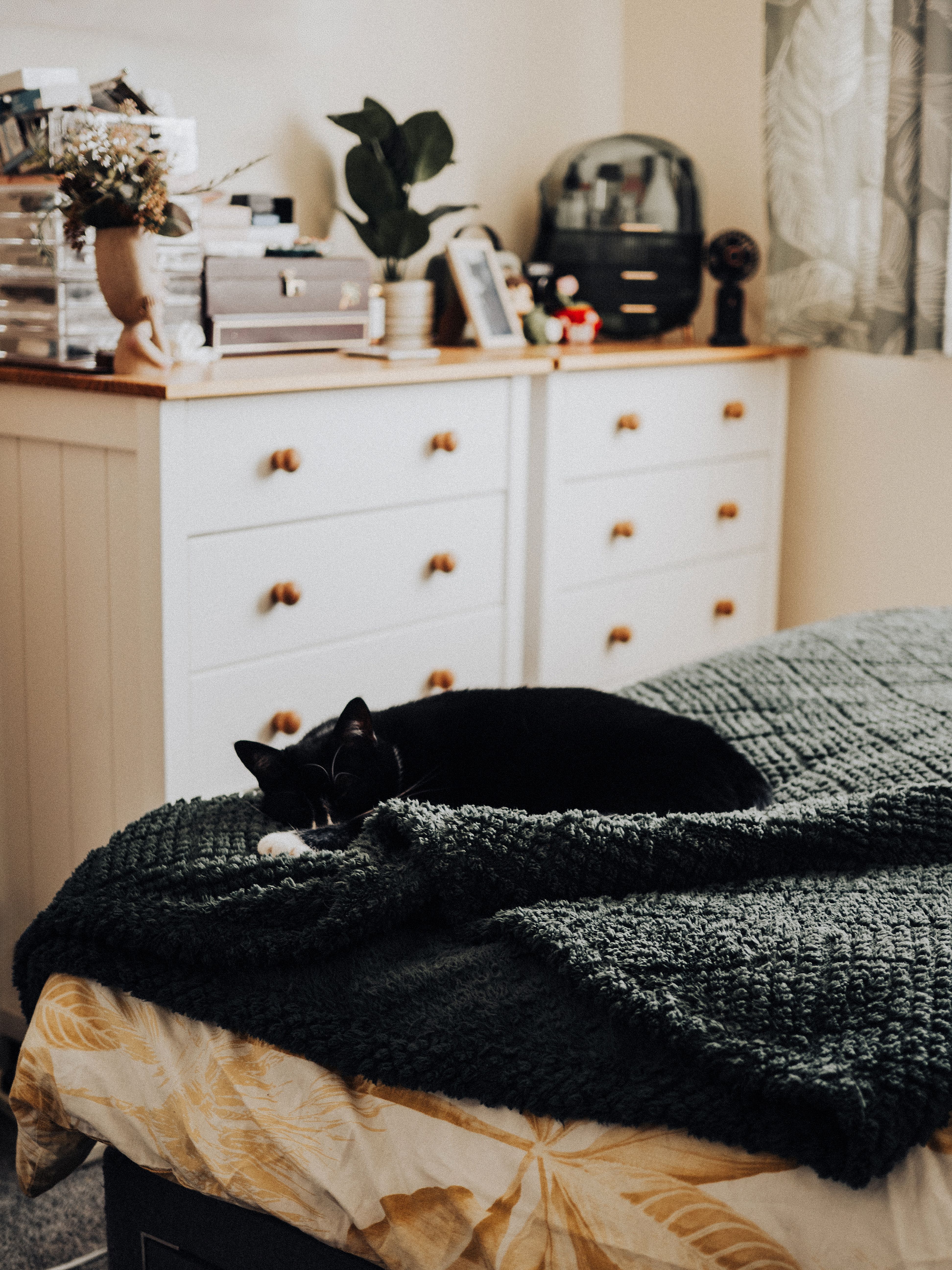 A cozy morning approach to soft lights at night