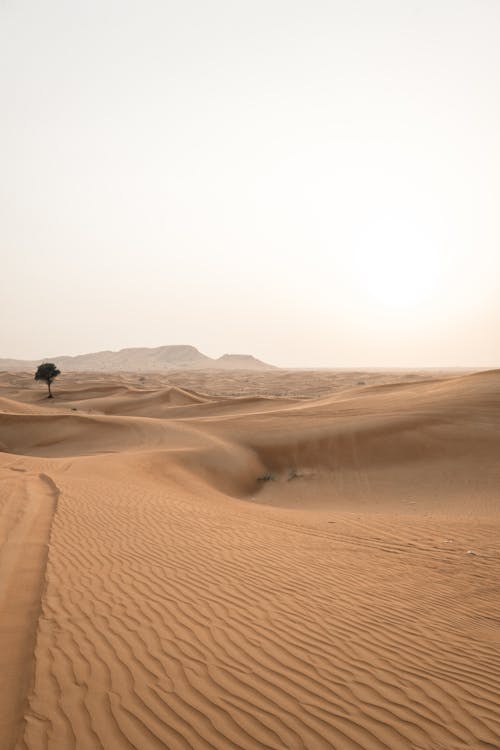 Person Walking on Desert