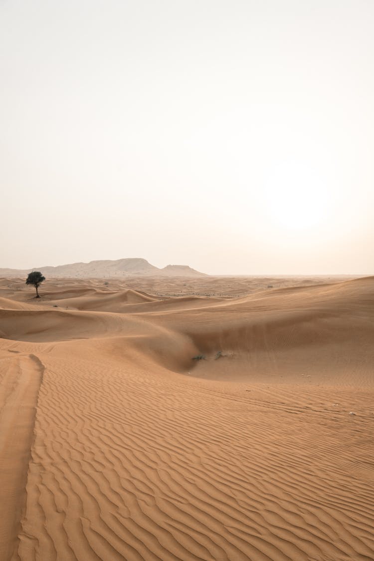 Brown Sand In The Desert