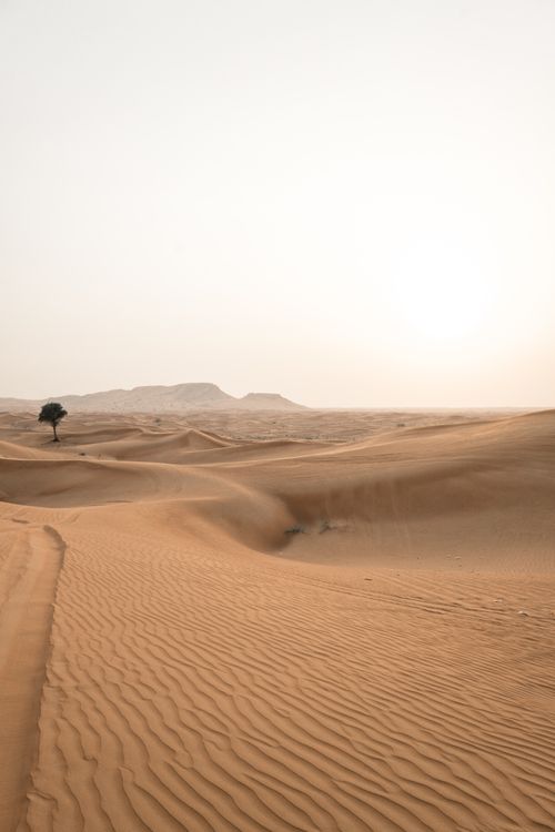 Free Stunning desert landscape in Dubai with sand dunes under the sunlit sky. Stock Photo