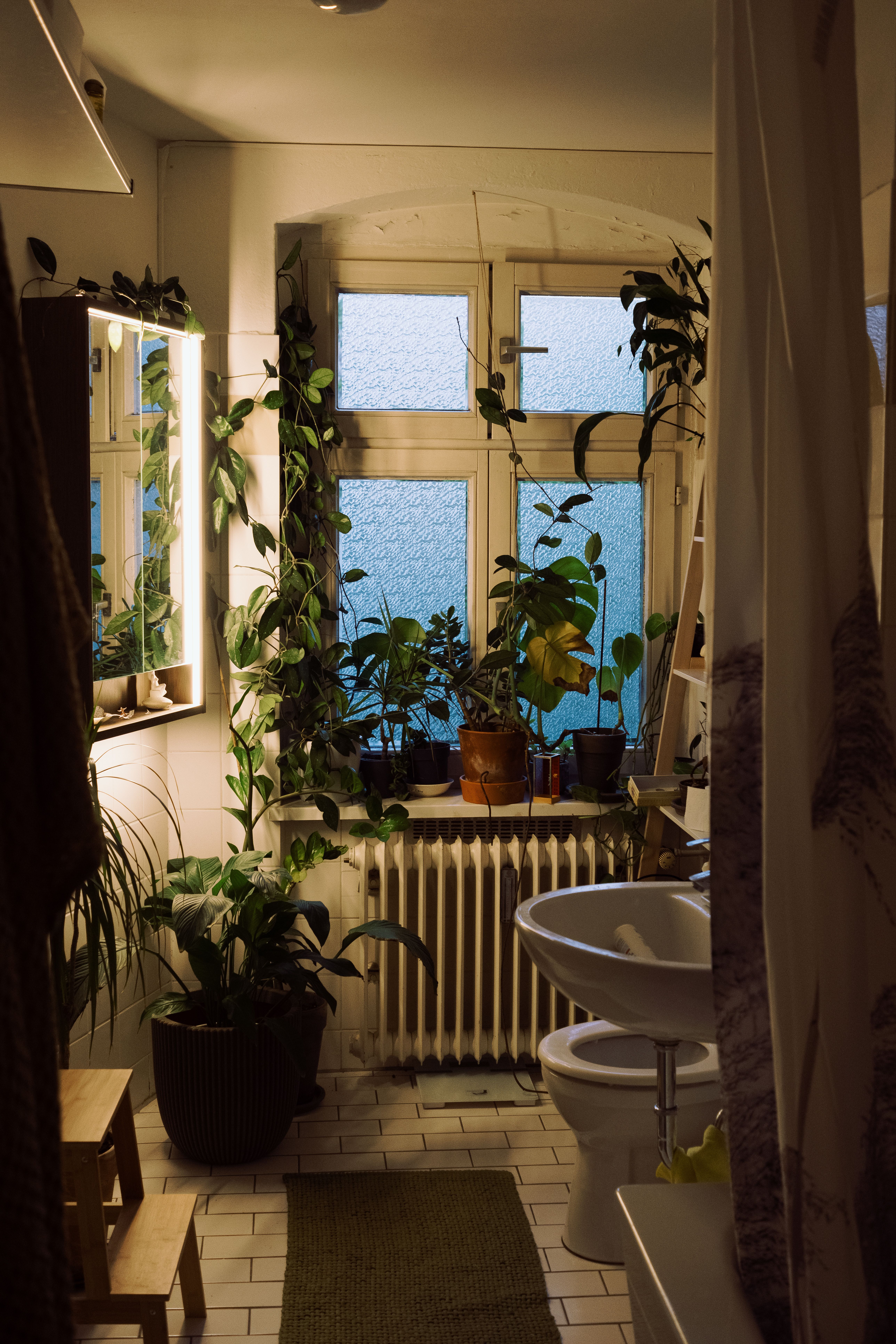 Plantas para banheiro: banheiro aconchegante com plantas verdes e luz natural
