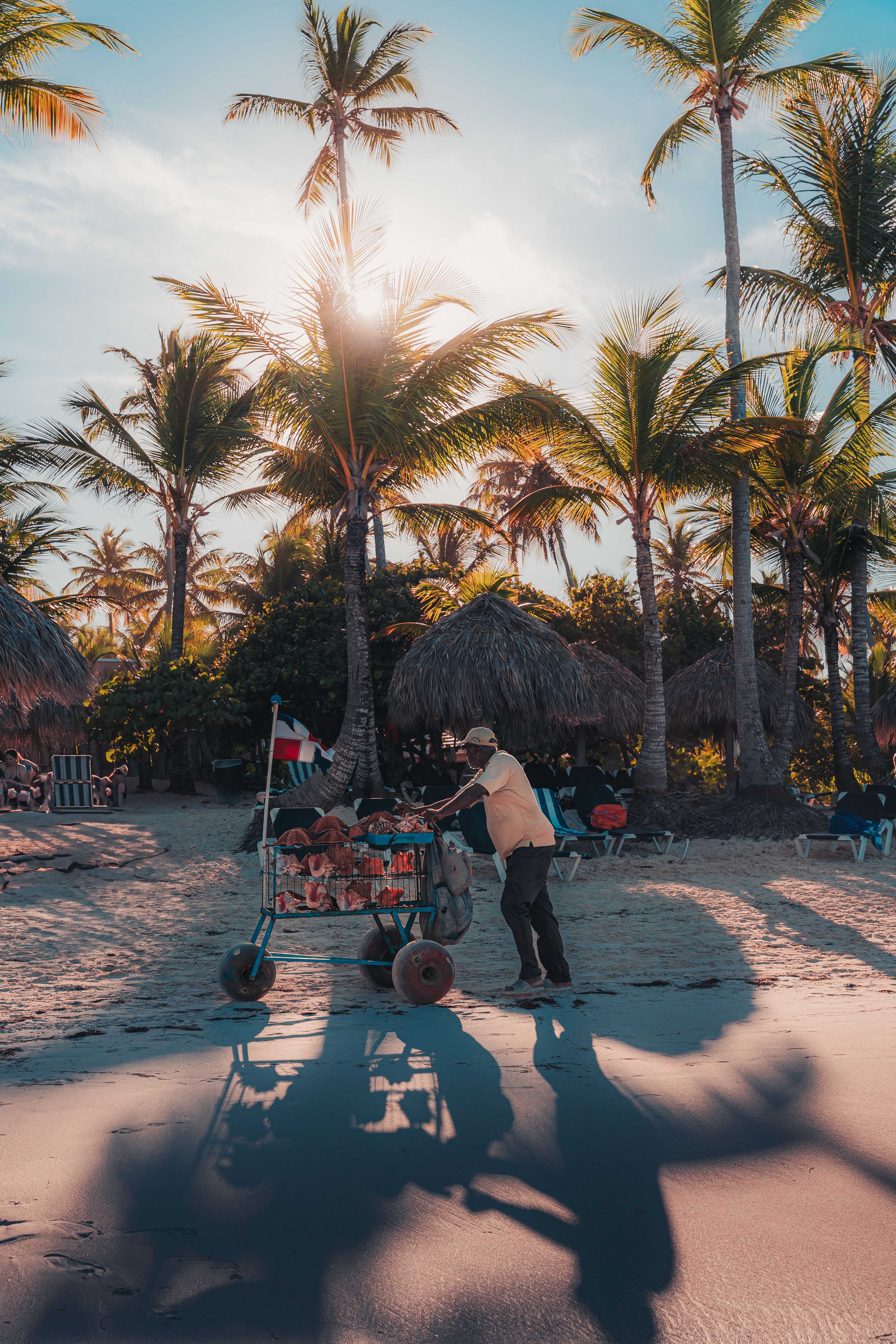 Offerta Viaggio Rep. Dominicana & New York — immagine 3